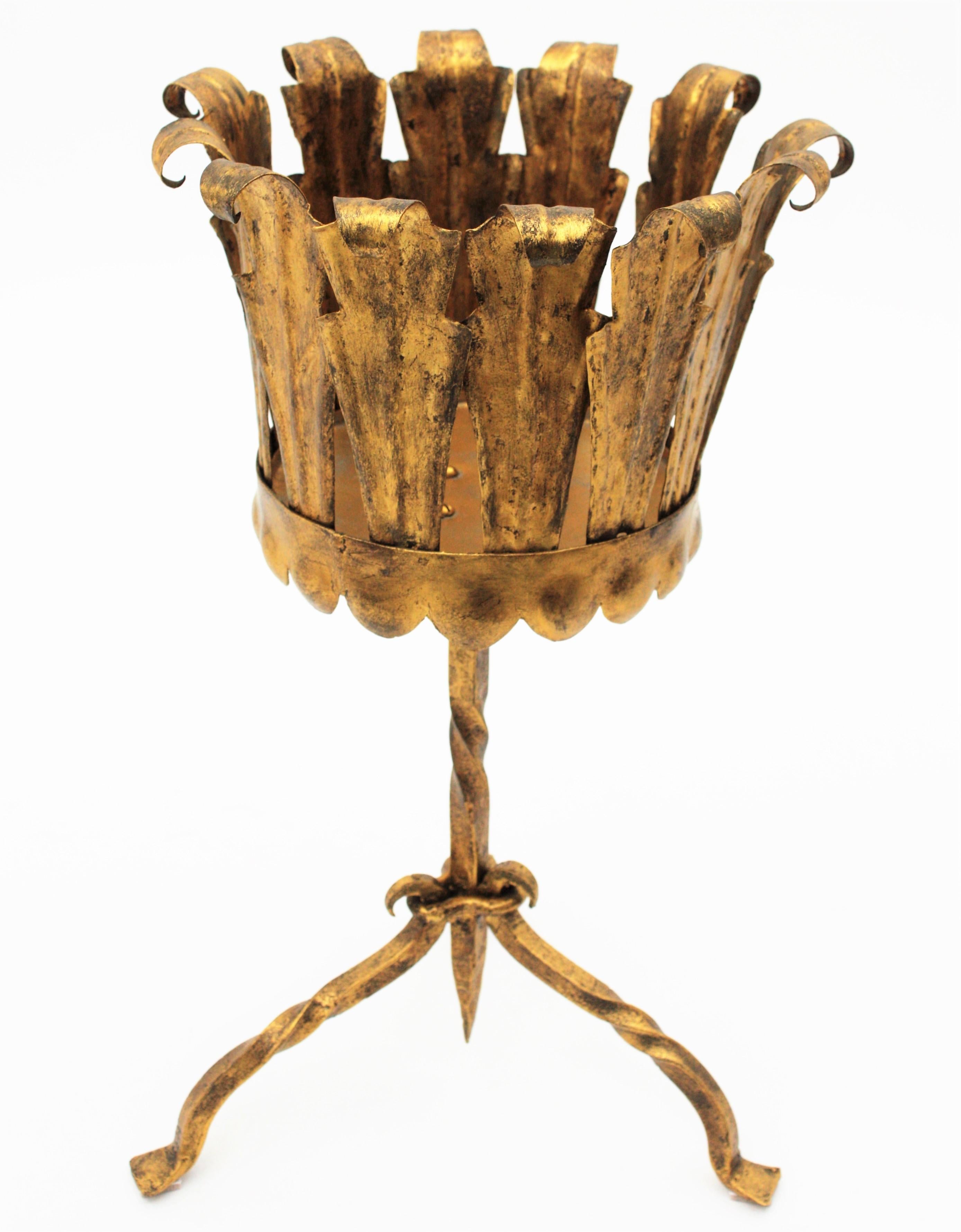 Spanish Tripod Planter in Gilt Wrought Iron For Sale 1