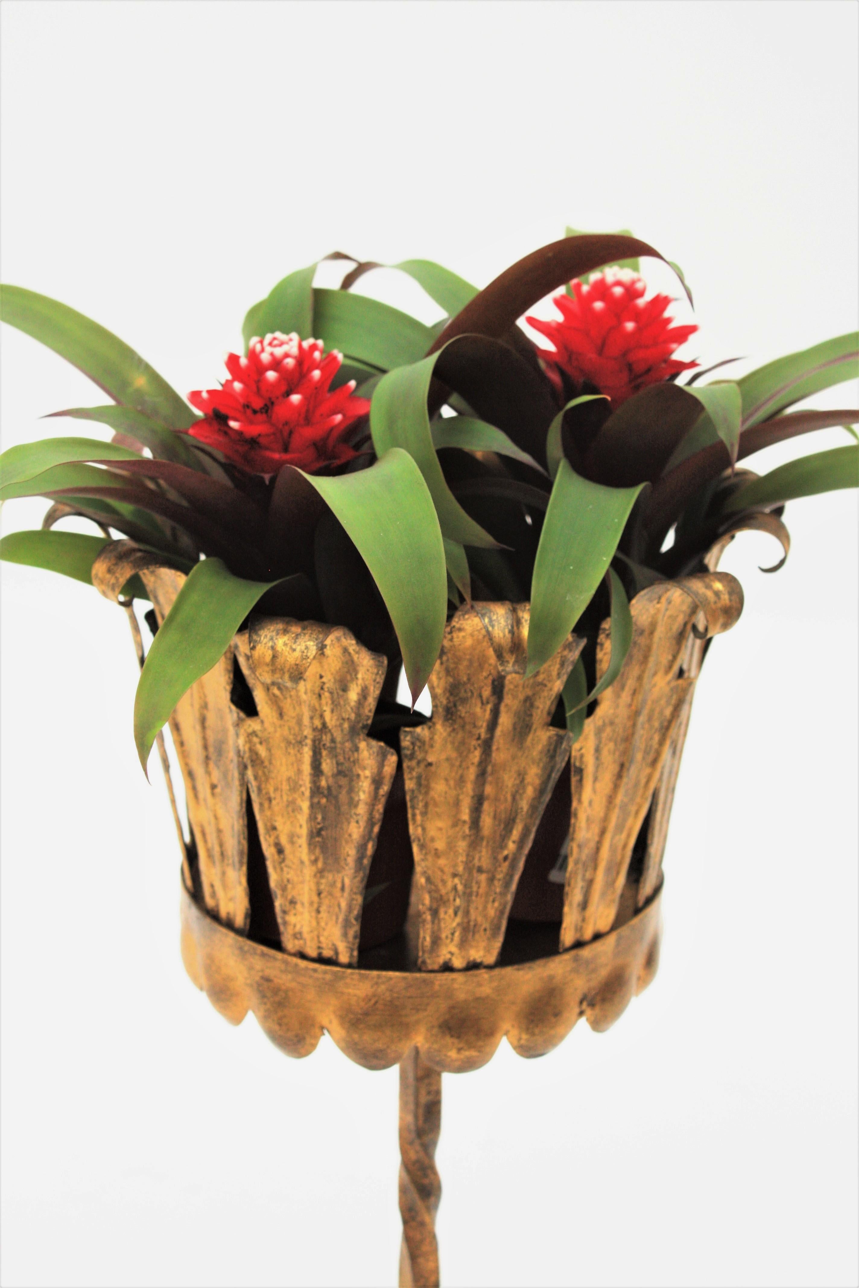 Spanish Tripod Planter in Gilt Wrought Iron 2