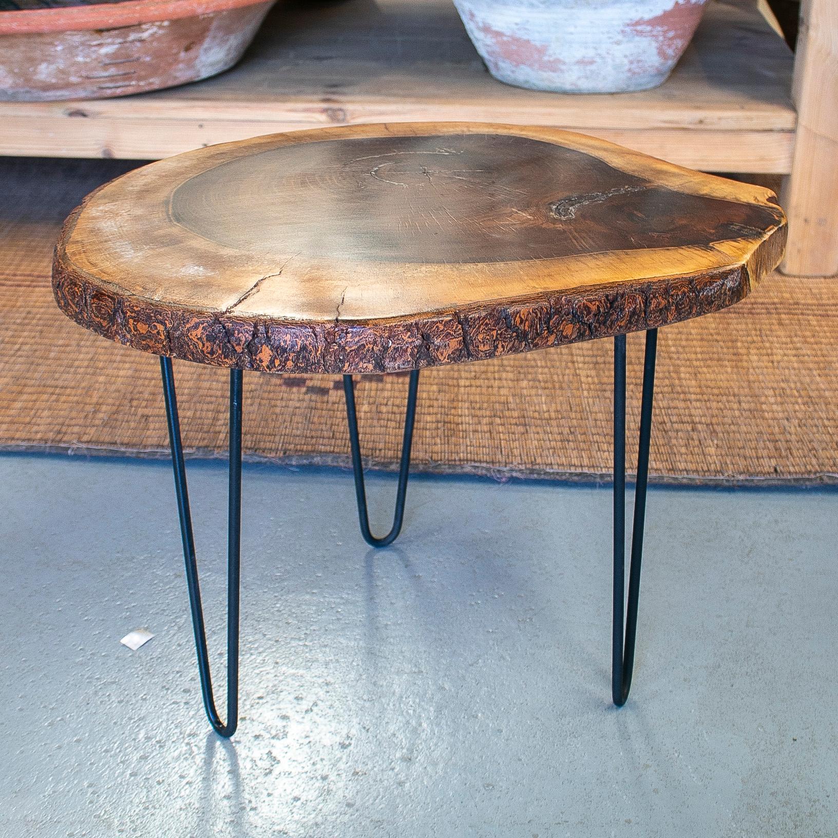 Rustic Spanish natural sliced tree trunk side table with iron legs.