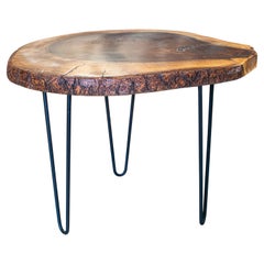 Spanish Natural Sliced Tree Trunk Side Table w/ Iron Legs