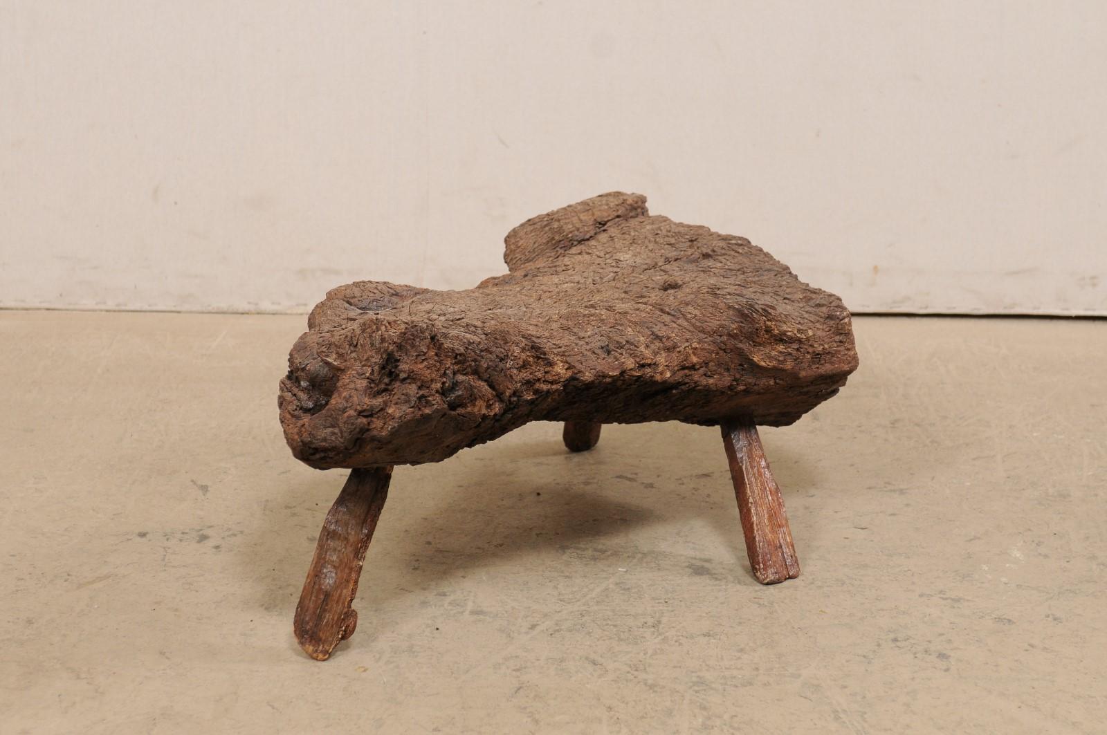 Spanish Petite-Sized Knobby Live-Edge Burl Wood Table or Stool on Limb Legs 6