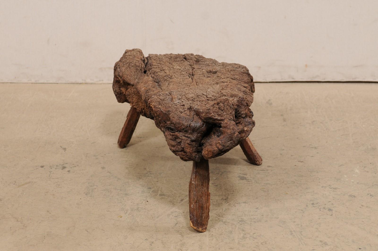 Spanish Petite-Sized Knobby Live-Edge Burl Wood Table or Stool on Limb Legs 7