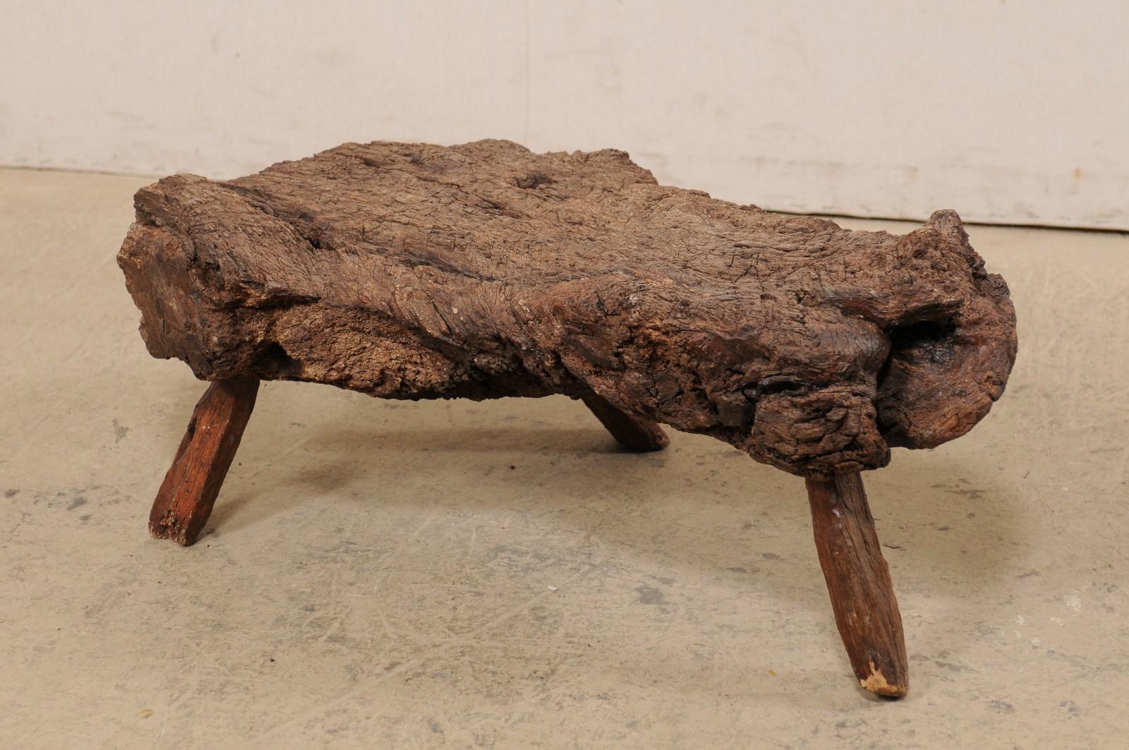 Spanish Petite-Sized Knobby Live-Edge Burl Wood Table or Stool on Limb Legs 8
