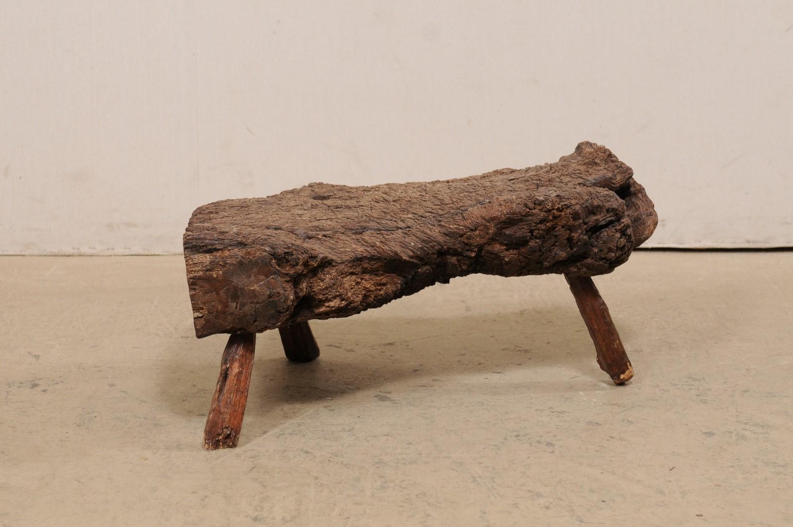 A Spanish small-sized burl wood table (which could also be used as a stool) from the mid 20th century. This vintage coffee table from Spain features a thick piece of knobby live-edge burl wood, which has been raised on three short legs of smoothed