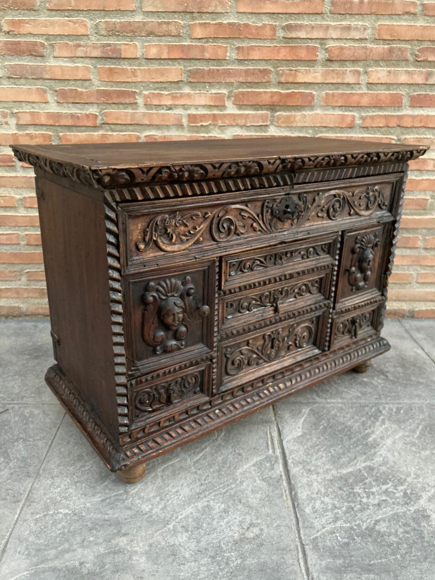 Spanish Renaissance Carved Walnut Cassone or Trunk, 19th Century For Sale 1