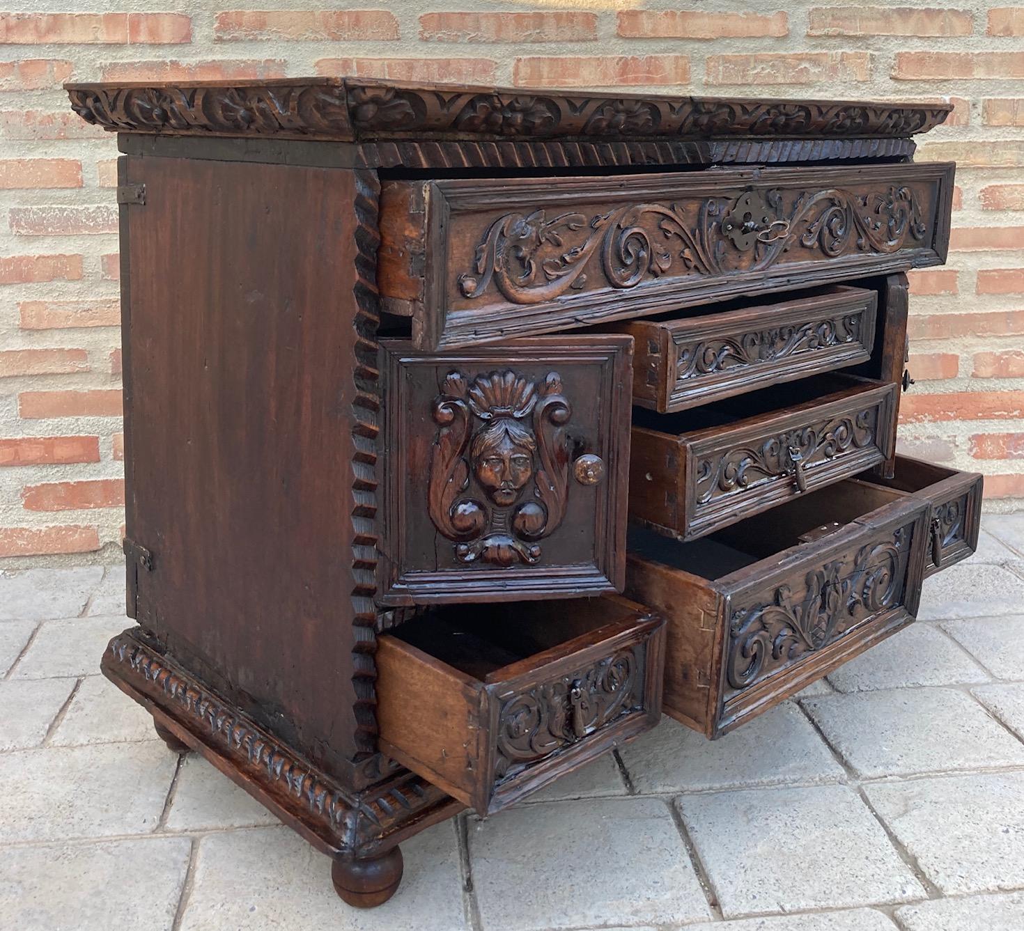 Spanish Renaissance Carved Walnut Cassone or Trunk, 19th Century For Sale 4