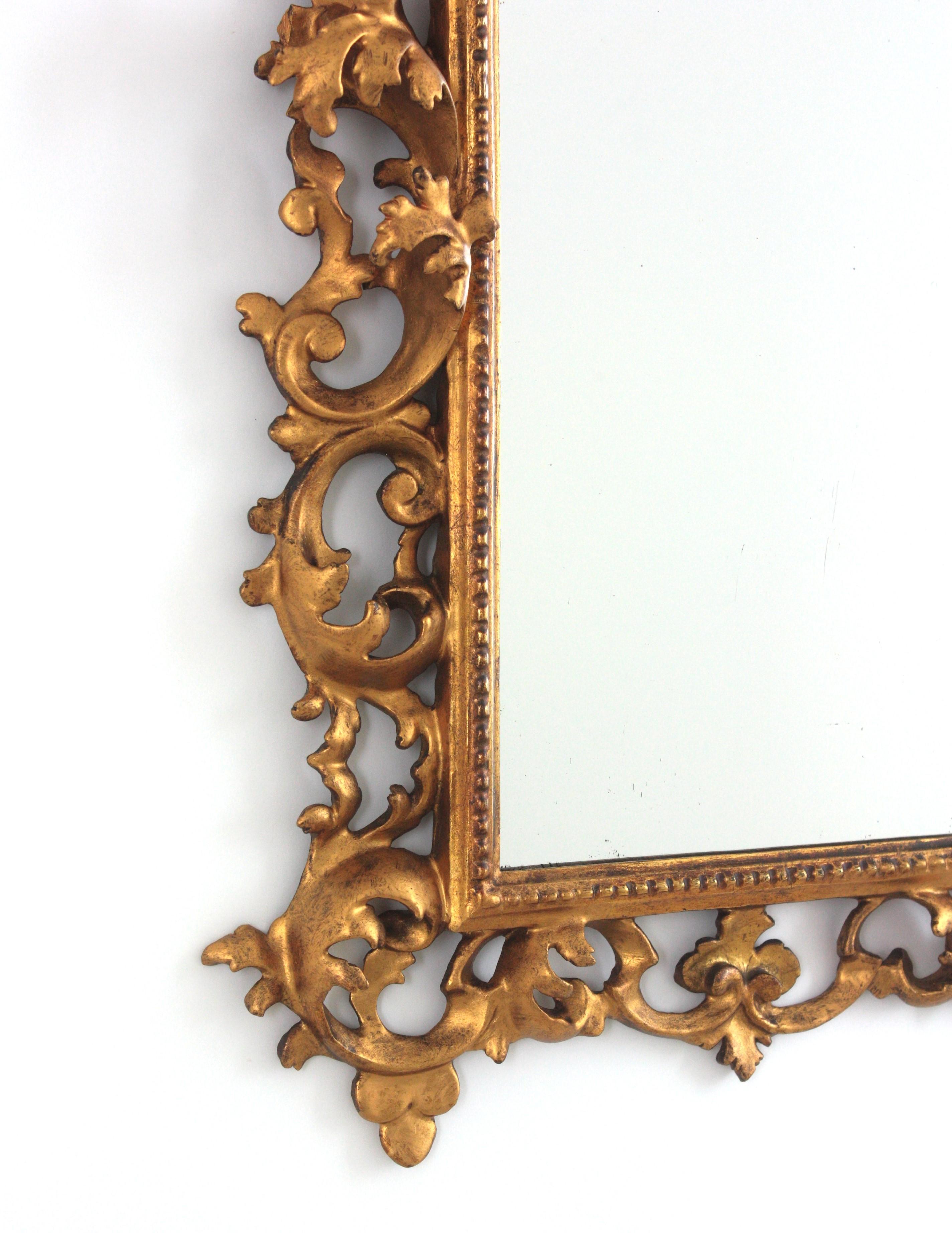 Hand-Carved Spanish Rococo Giltwood Mirror with Foliage Carving Frame For Sale
