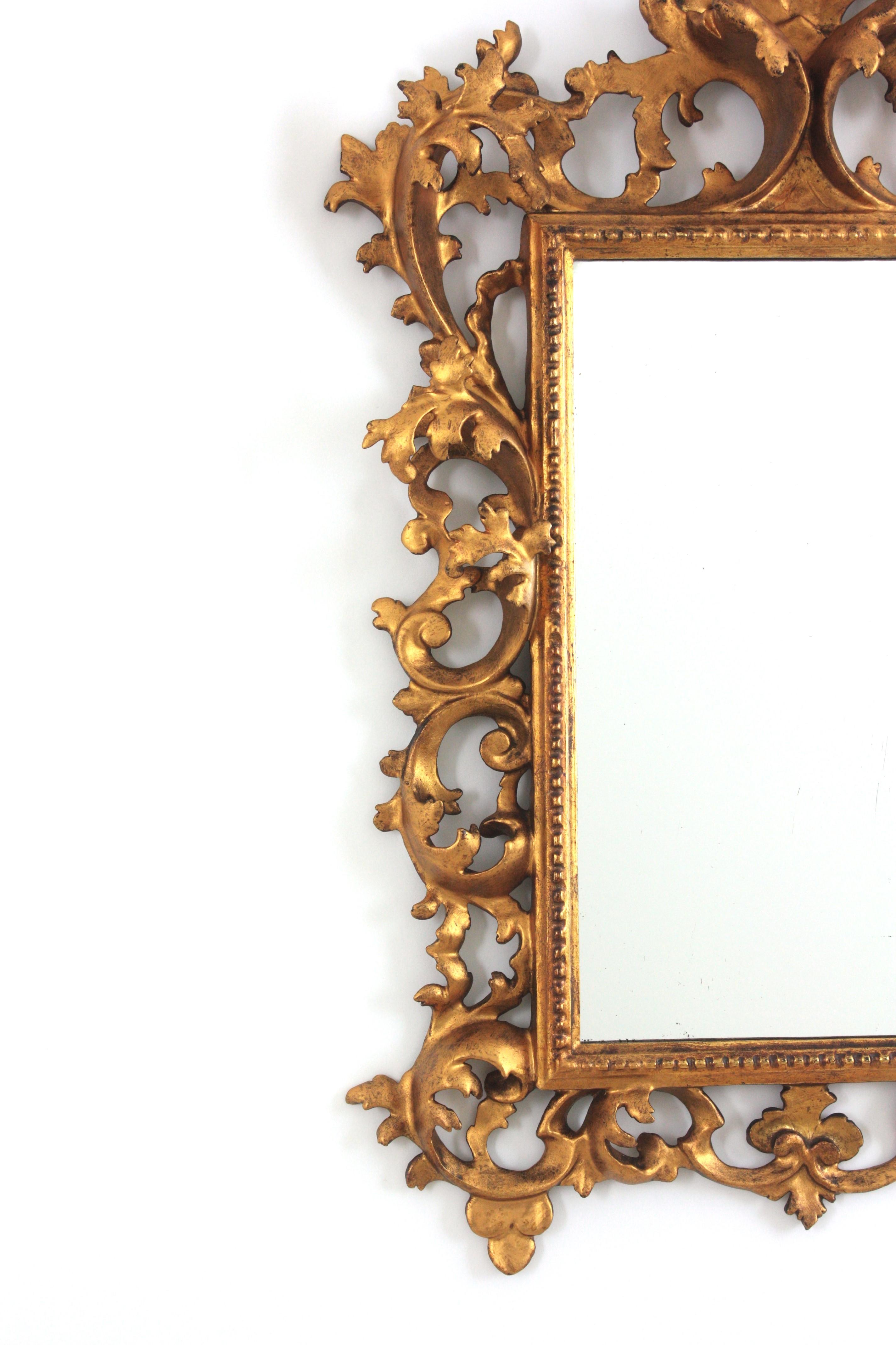 Gesso Spanish Rococo Giltwood Mirror with Foliage Carving Frame For Sale