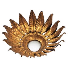 Apparecchio spagnolo a fiore a raggiera in ferro dorato, anni '50