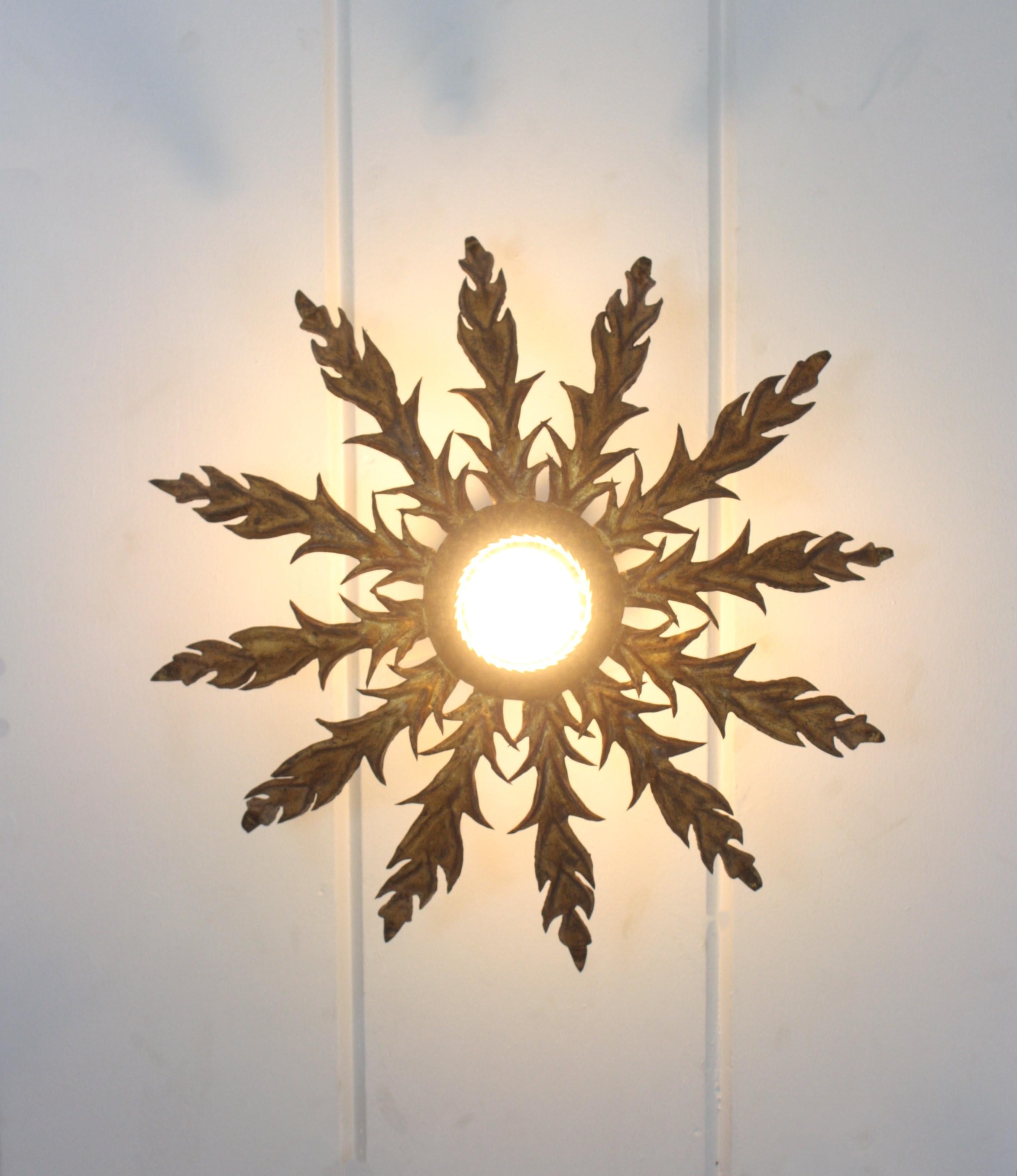 Lámpara de montaje empotrado con follaje Sunburst español en hierro dorado en venta 8