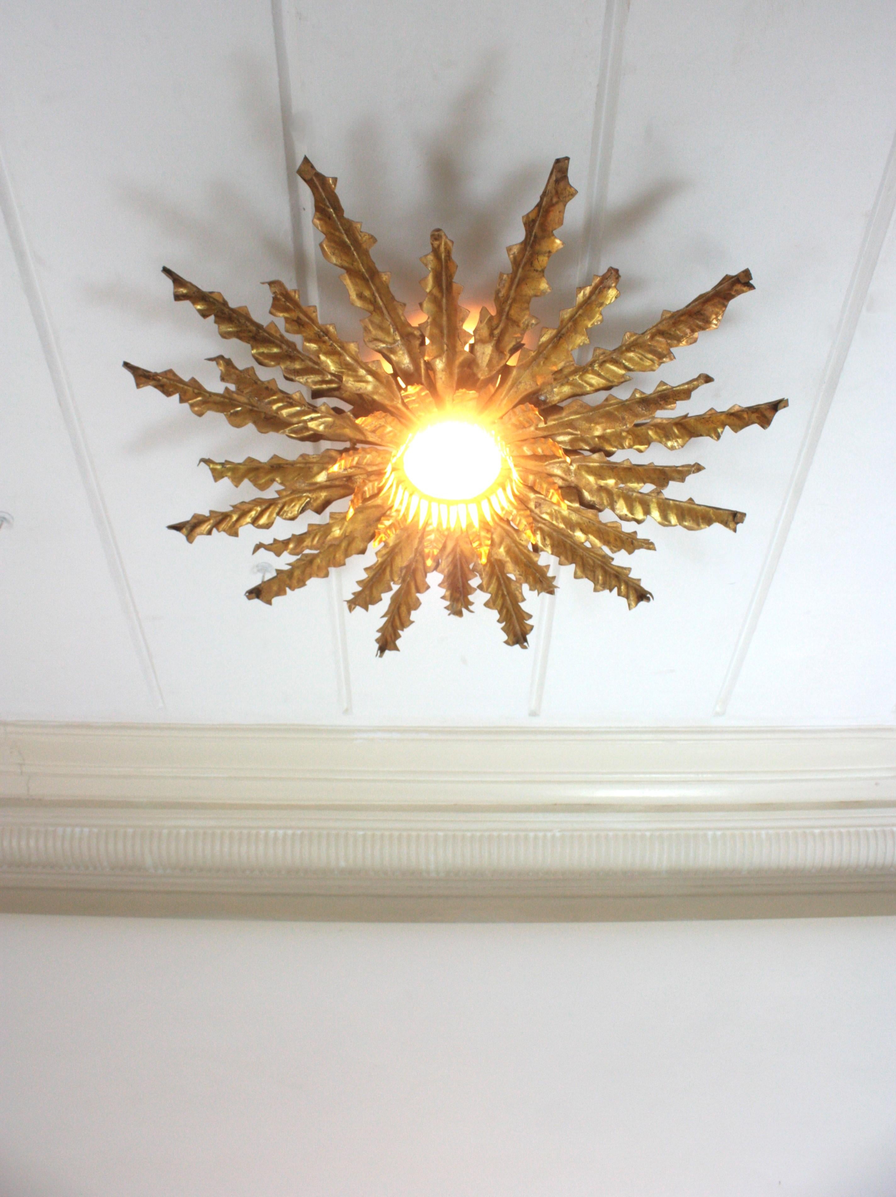 Spanish Sunburst Leafed Ceiling Light Fixture or Pendant, Gilt Iron For Sale 4