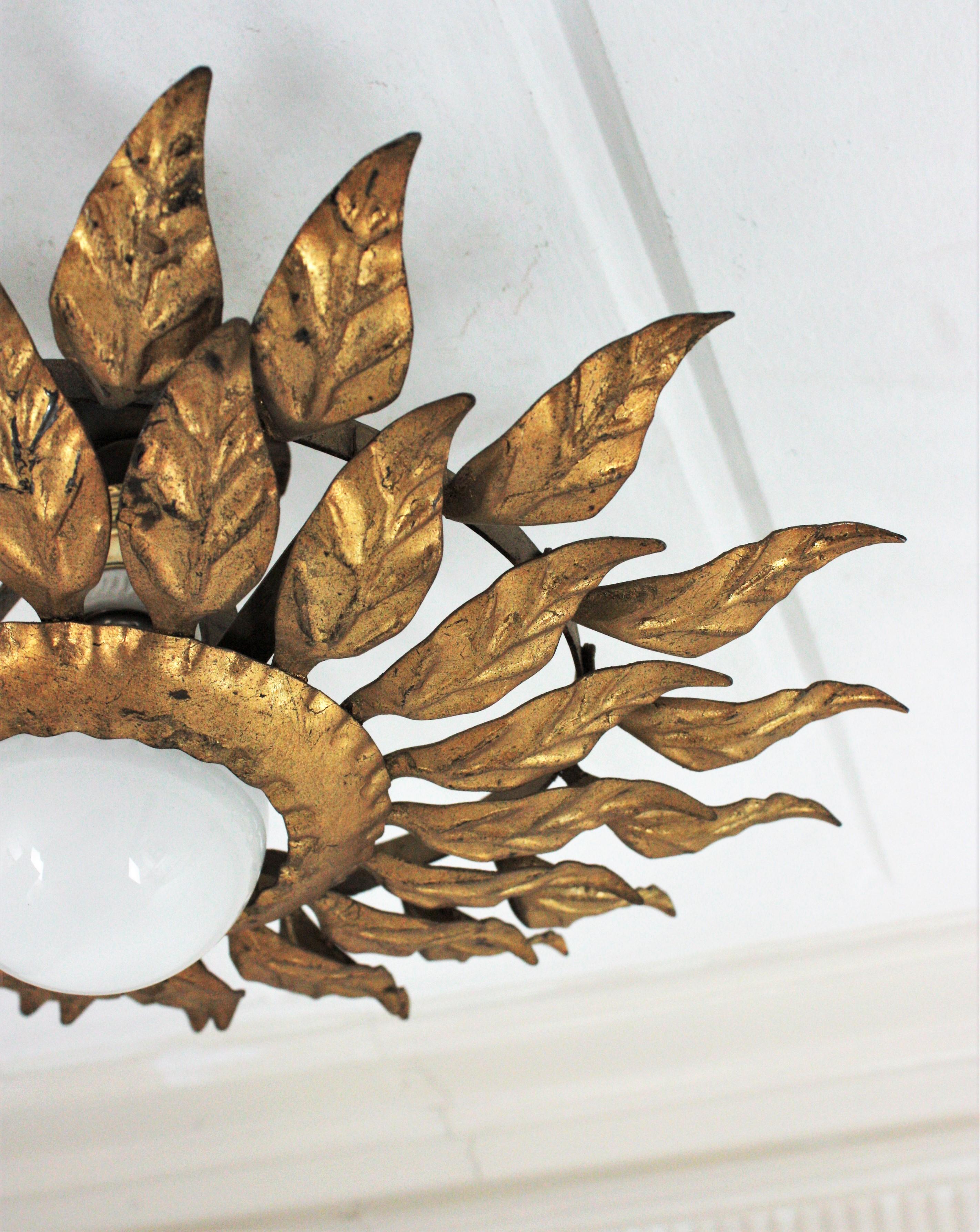 Spanish Sunburst Light Fixture in Gilt Iron with Double Leafed Frame For Sale 2