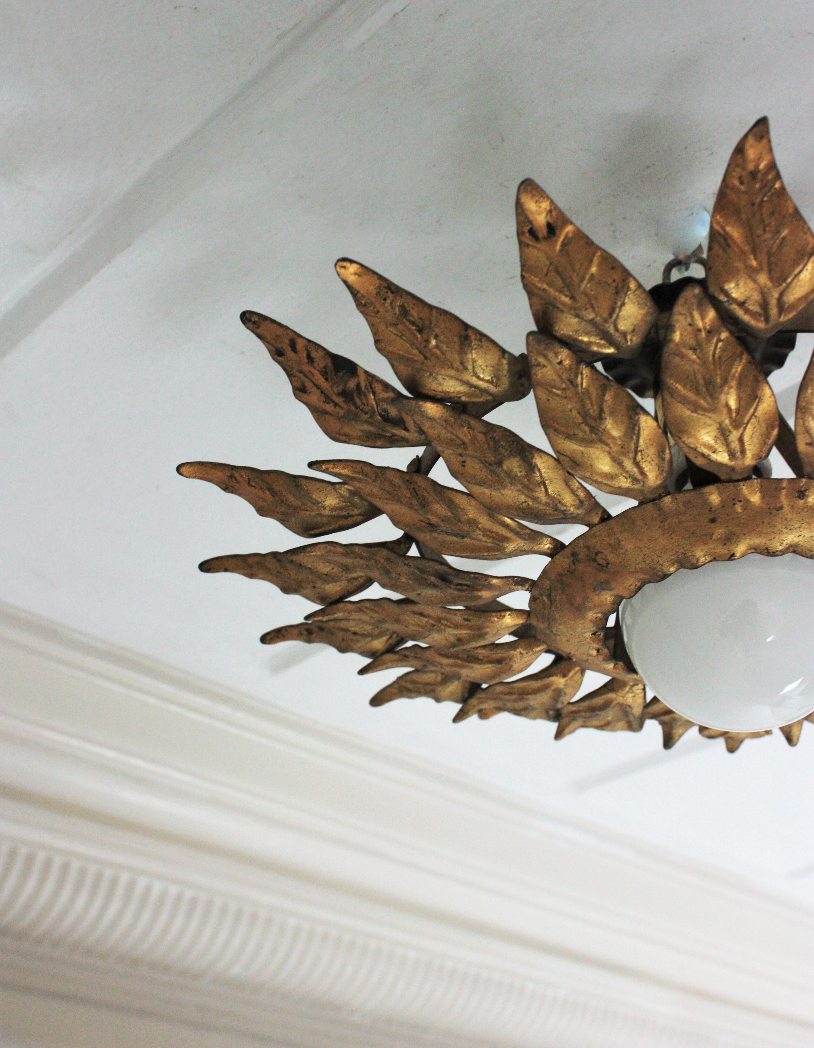 Spanish Sunburst Light Fixture in Gilt Iron with Double Leafed Frame For Sale 3