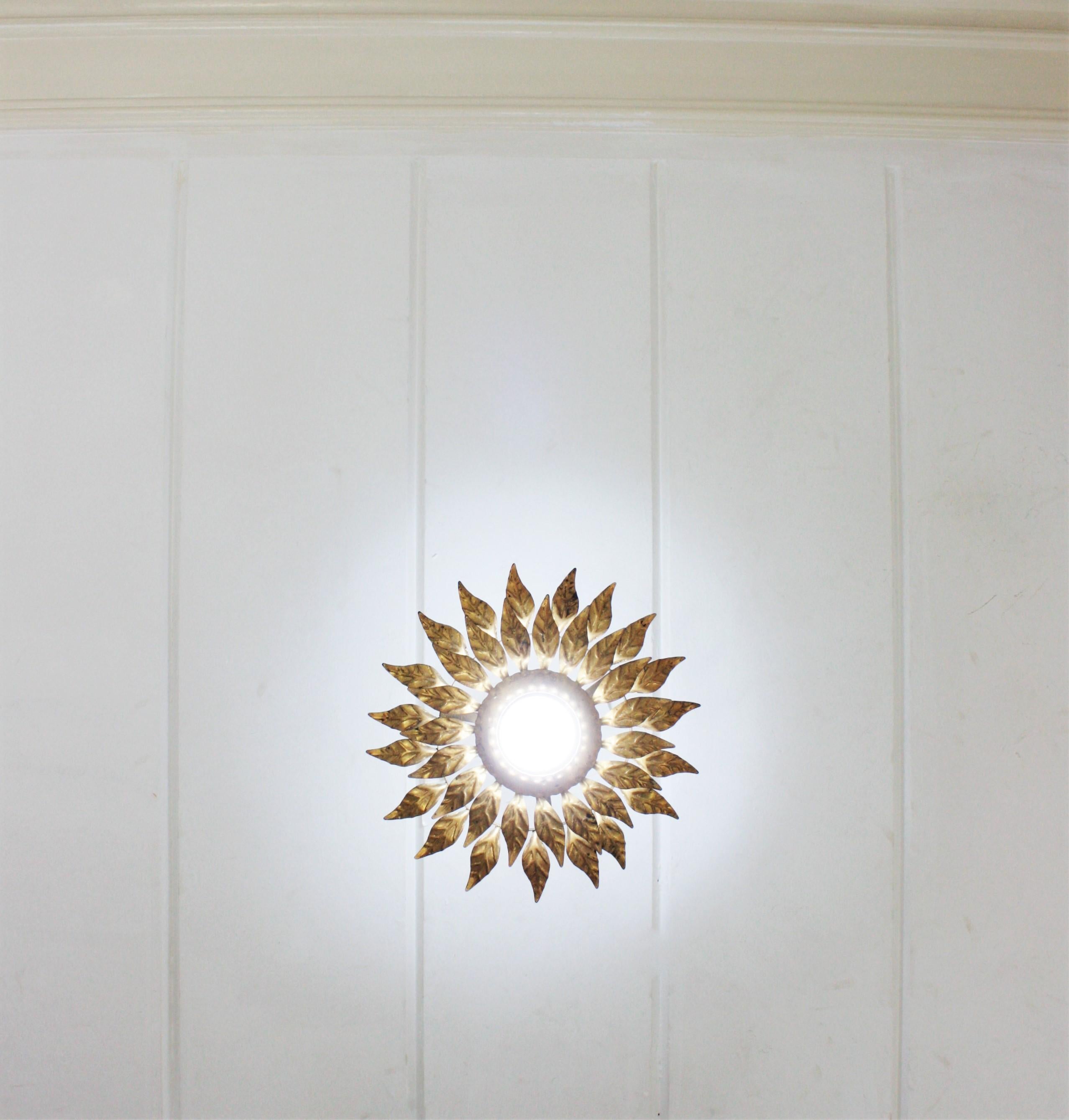 Spanish Sunburst Light Fixture in Gilt Iron with Double Leafed Frame For Sale 4