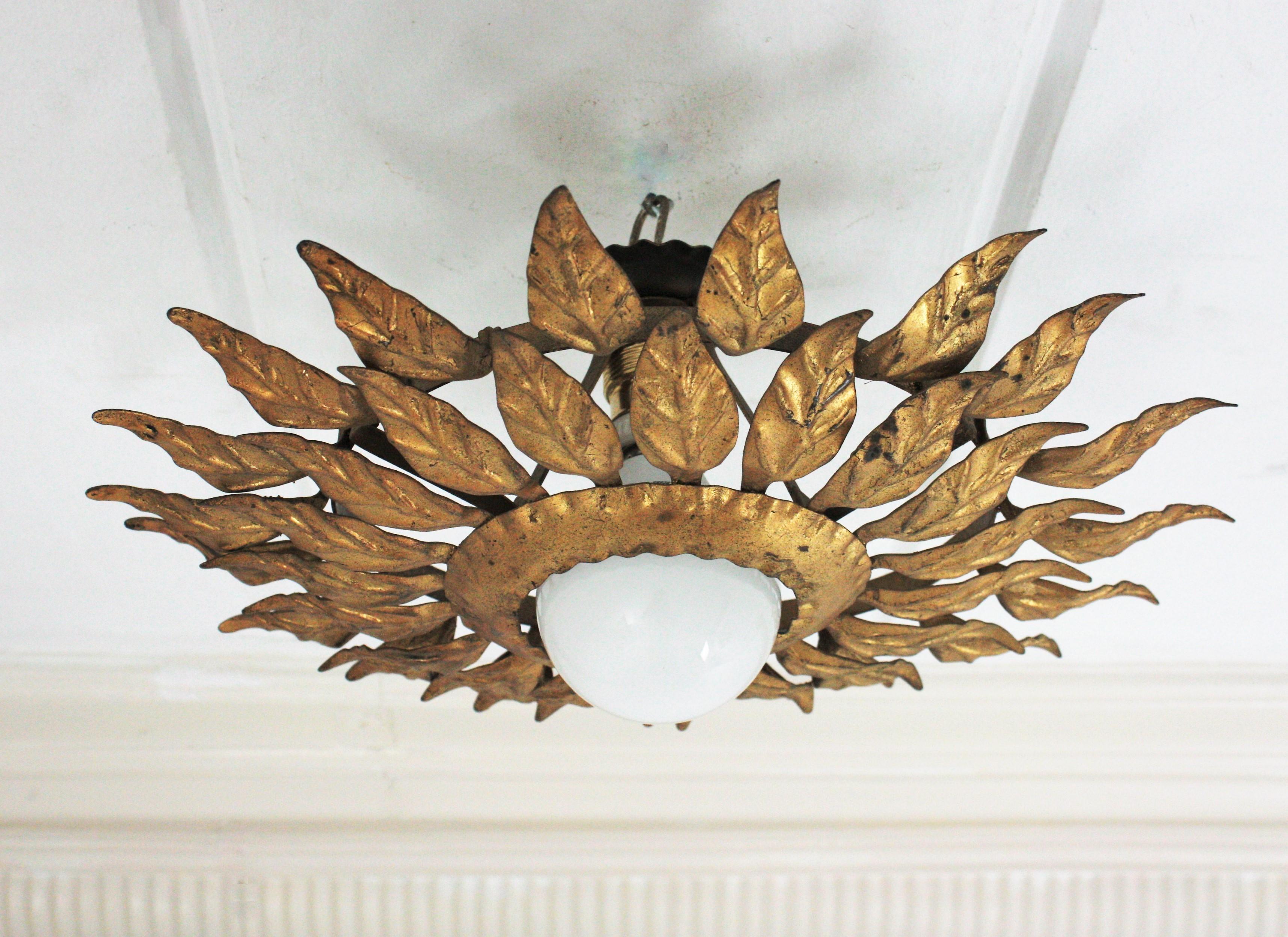 Spanish Sunburst Light Fixture in Gilt Iron with Double Leafed Frame For Sale 5