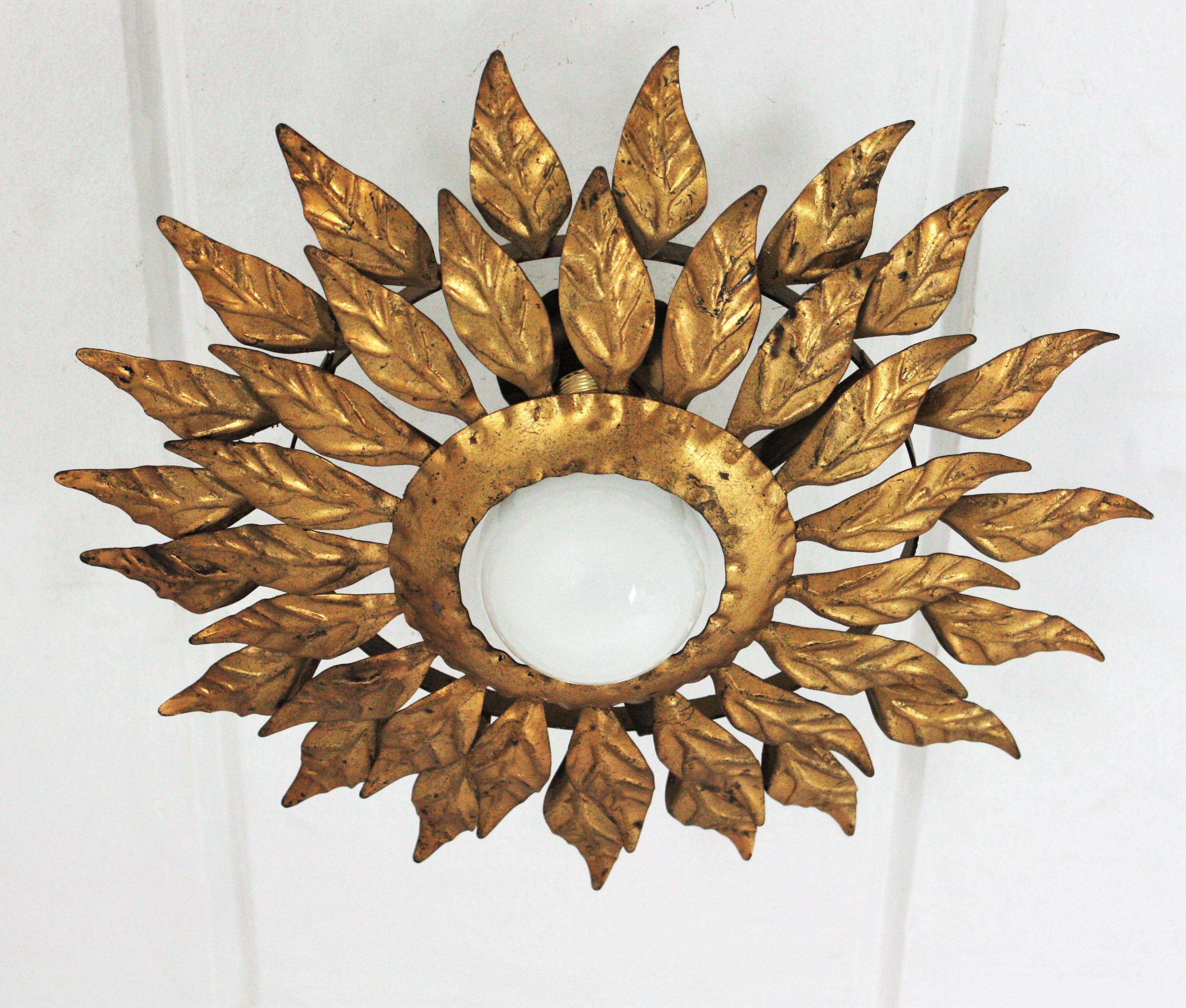 Spanish Sunburst Light Fixture in Gilt Iron with Double Leafed Frame In Good Condition For Sale In Barcelona, ES