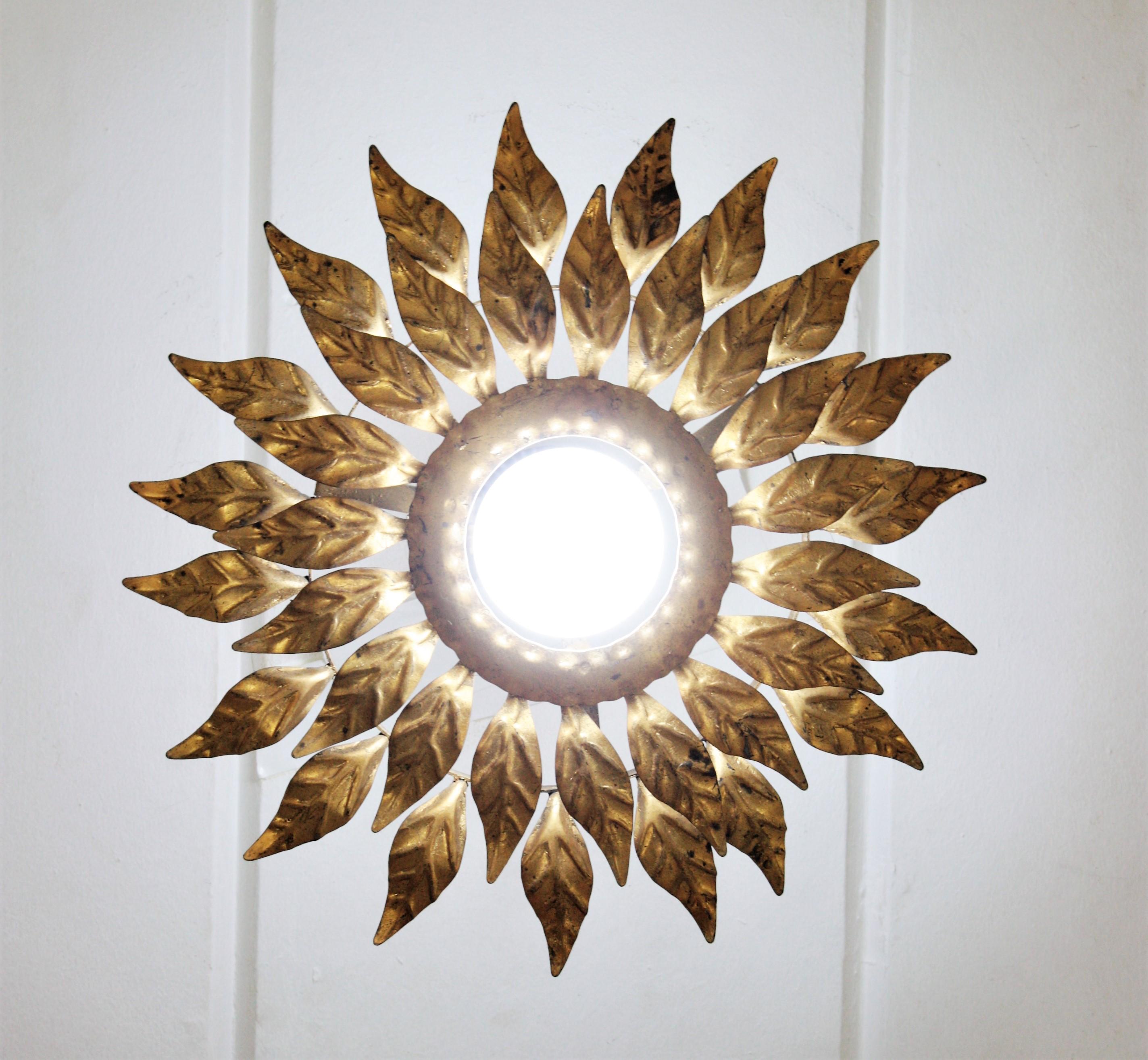 20th Century Spanish Sunburst Light Fixture in Gilt Iron with Double Leafed Frame For Sale