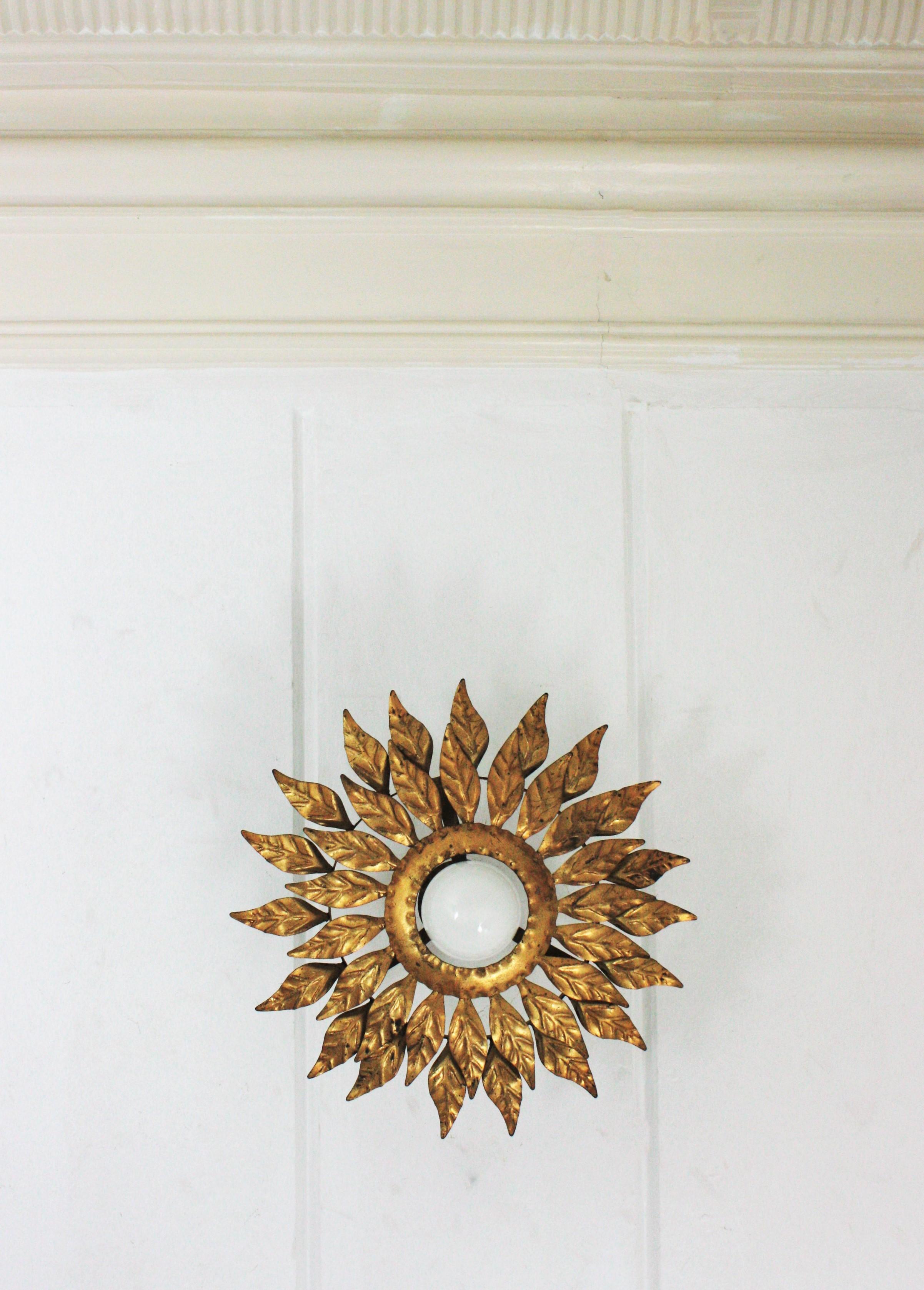 Metal Spanish Sunburst Light Fixture in Gilt Iron with Double Leafed Frame For Sale