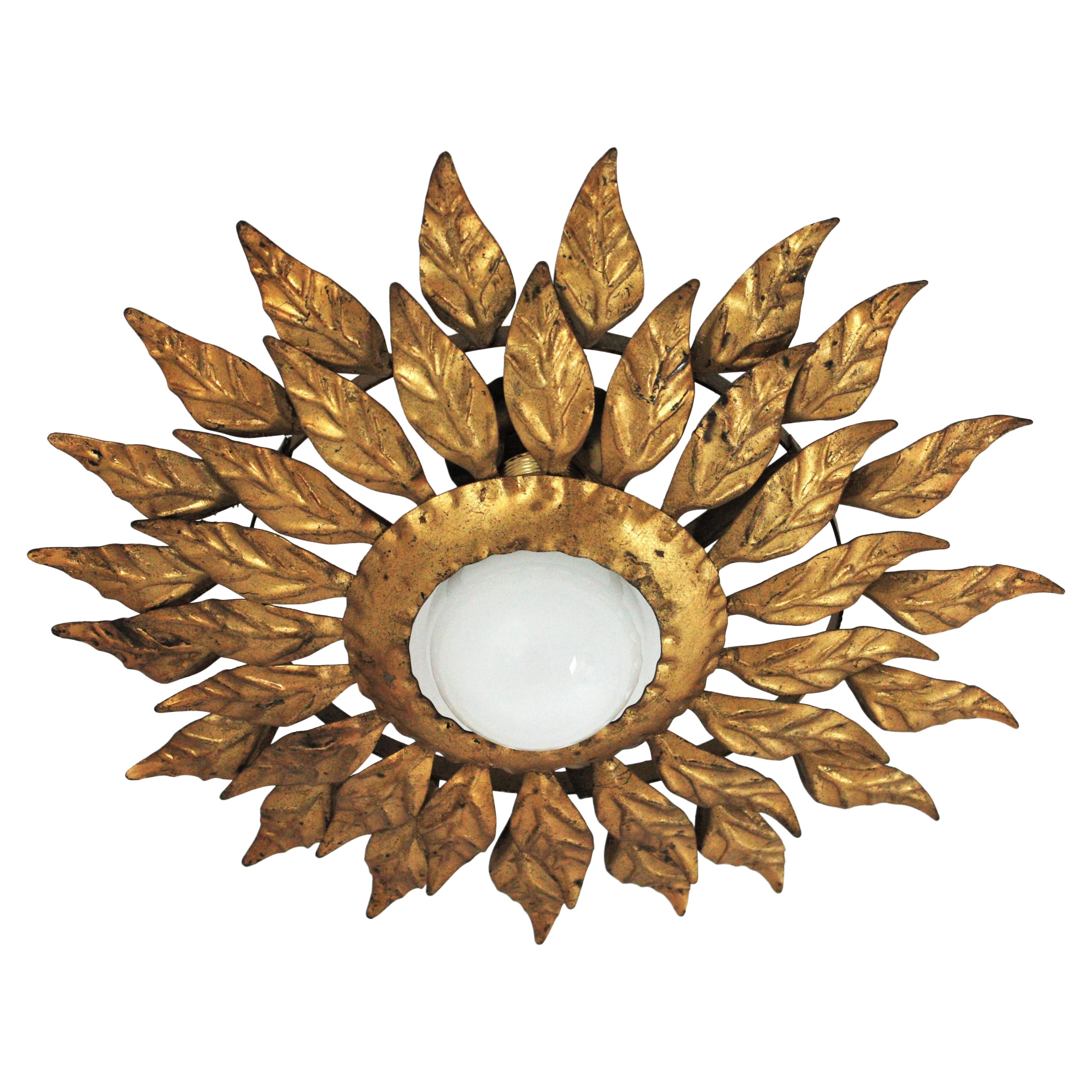 Gilt metal double layered leafed sunburst ceiling flush mount. Spain, 1960s.
An eye-catching sunburst or flower burst ceiling light featuring two layers of gilt iron leaves surrounding a central exposed bulb.
Original gold leaf gilding and nice