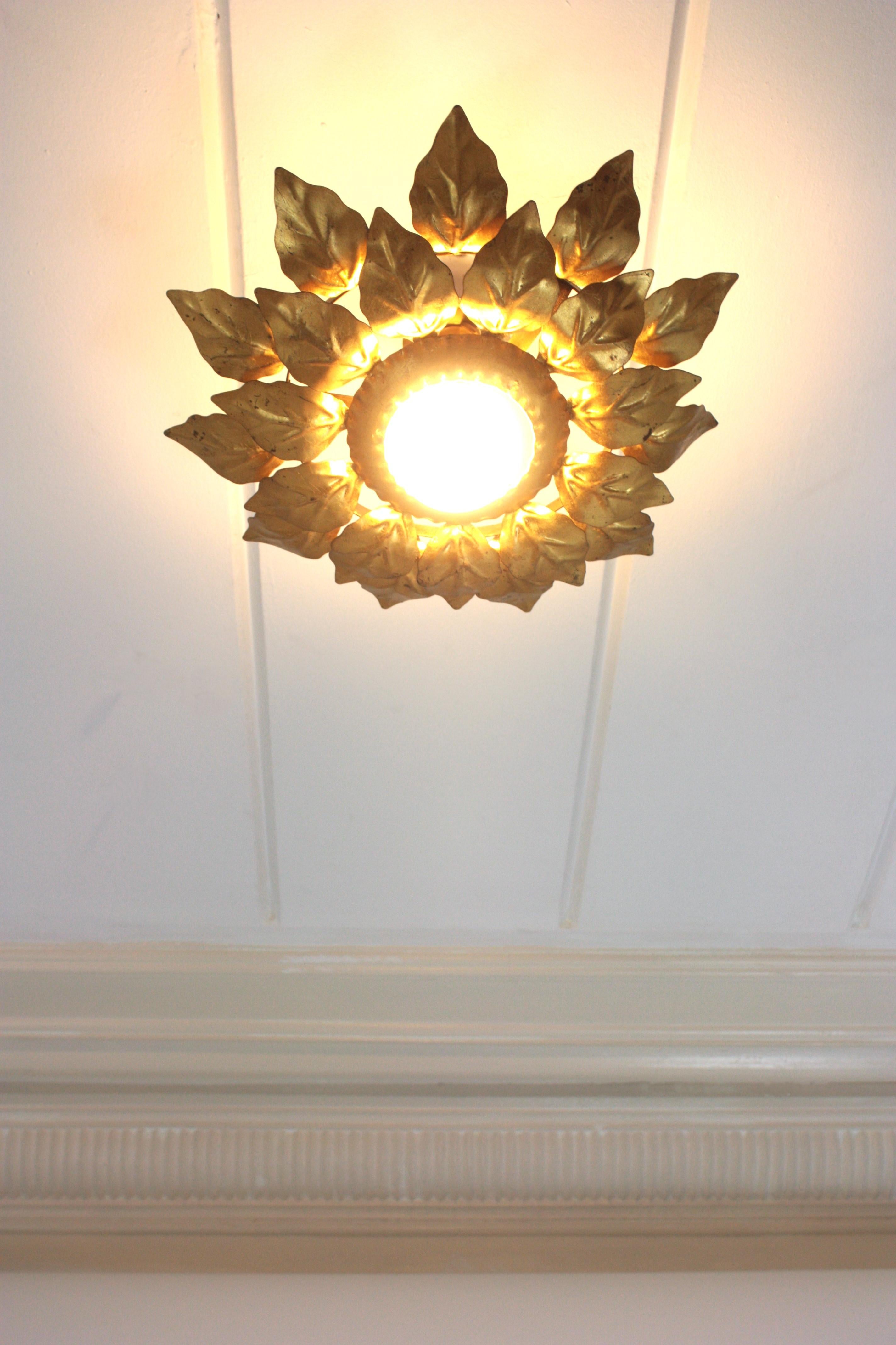 20th Century Spanish Sunburst Light Fixture with Double Leafed Frame, Gilt Iron For Sale