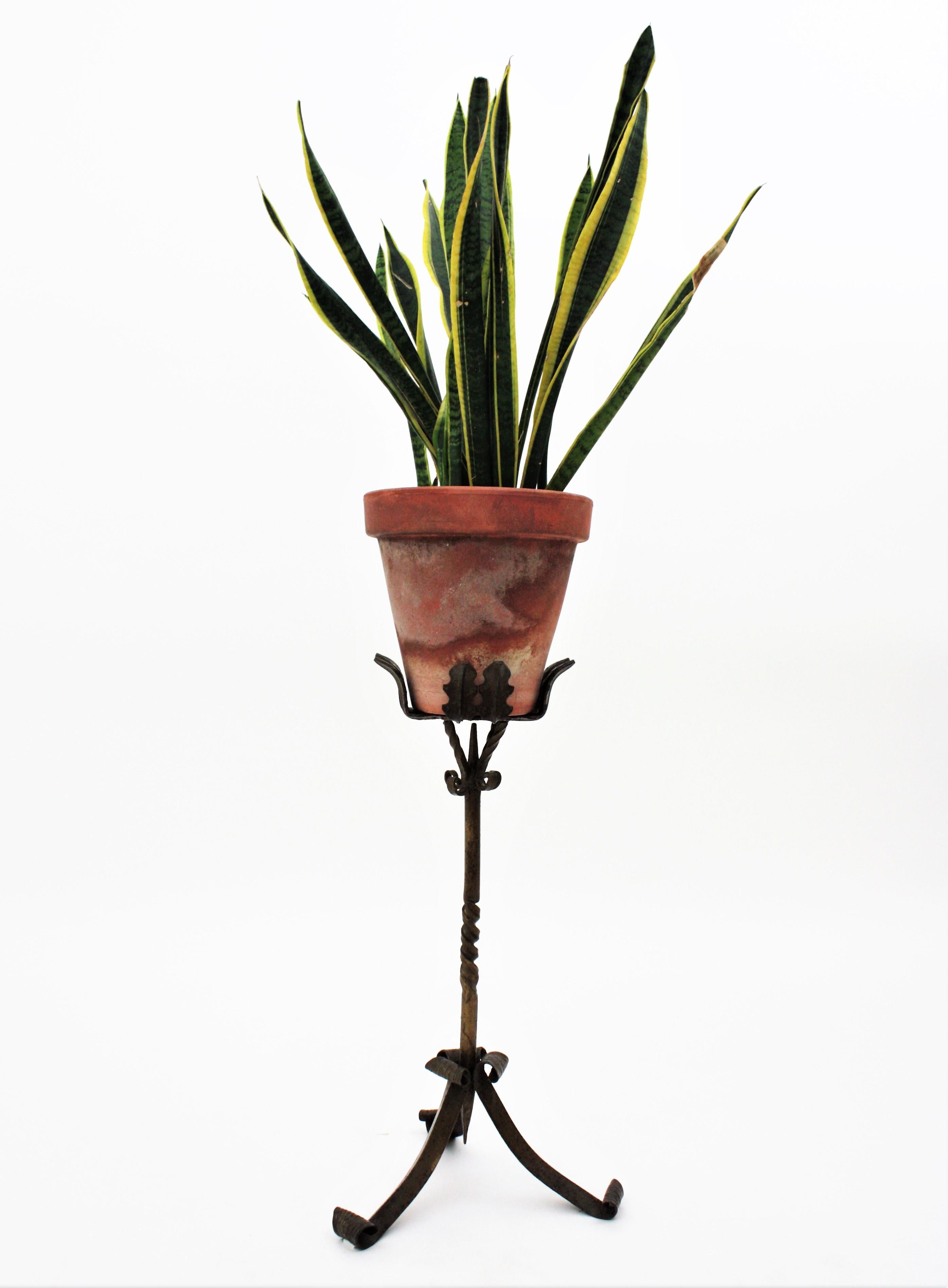 Spanish Wrought Iron Plant Stand, 1930s 5
