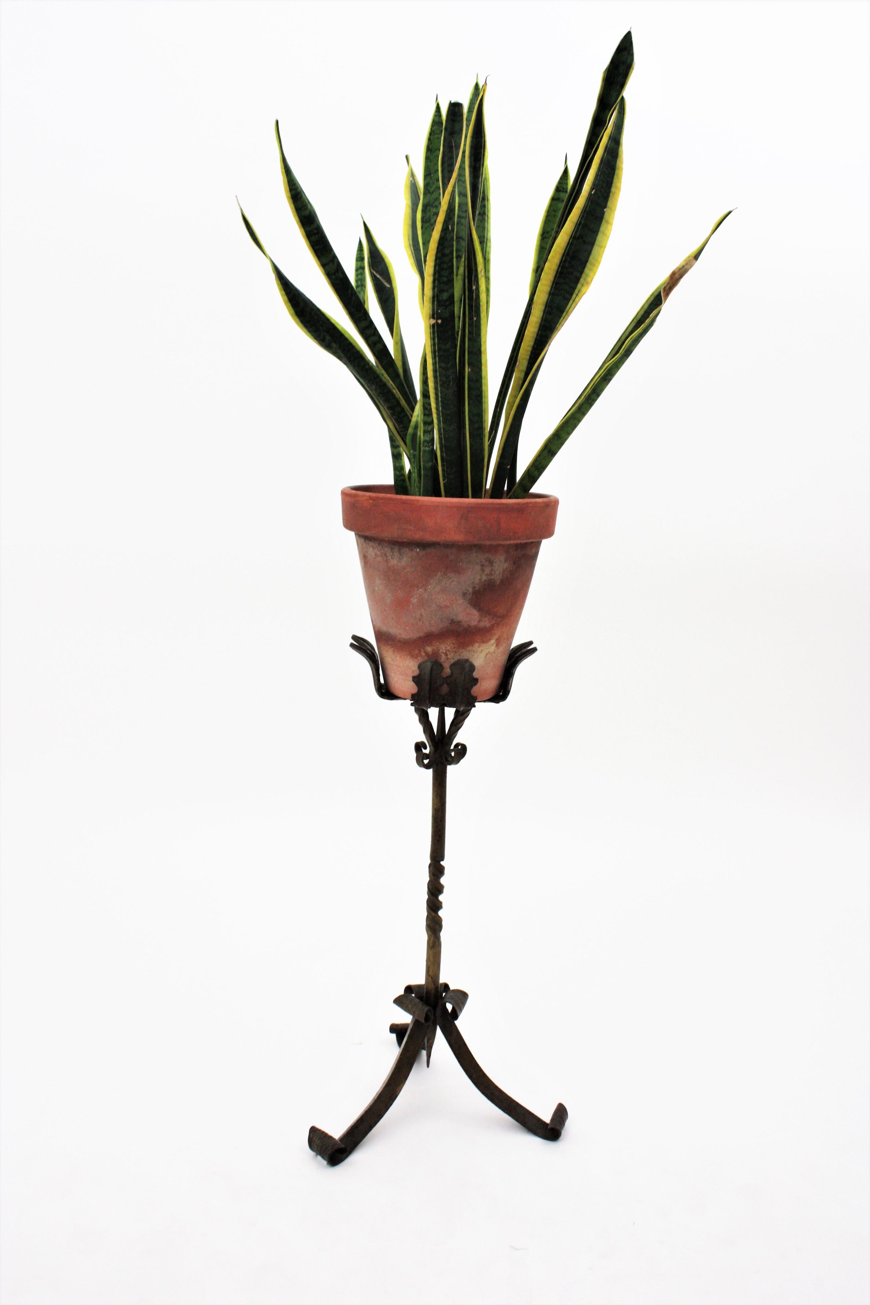 Spanish Wrought Iron Plant Stand, 1930s 8