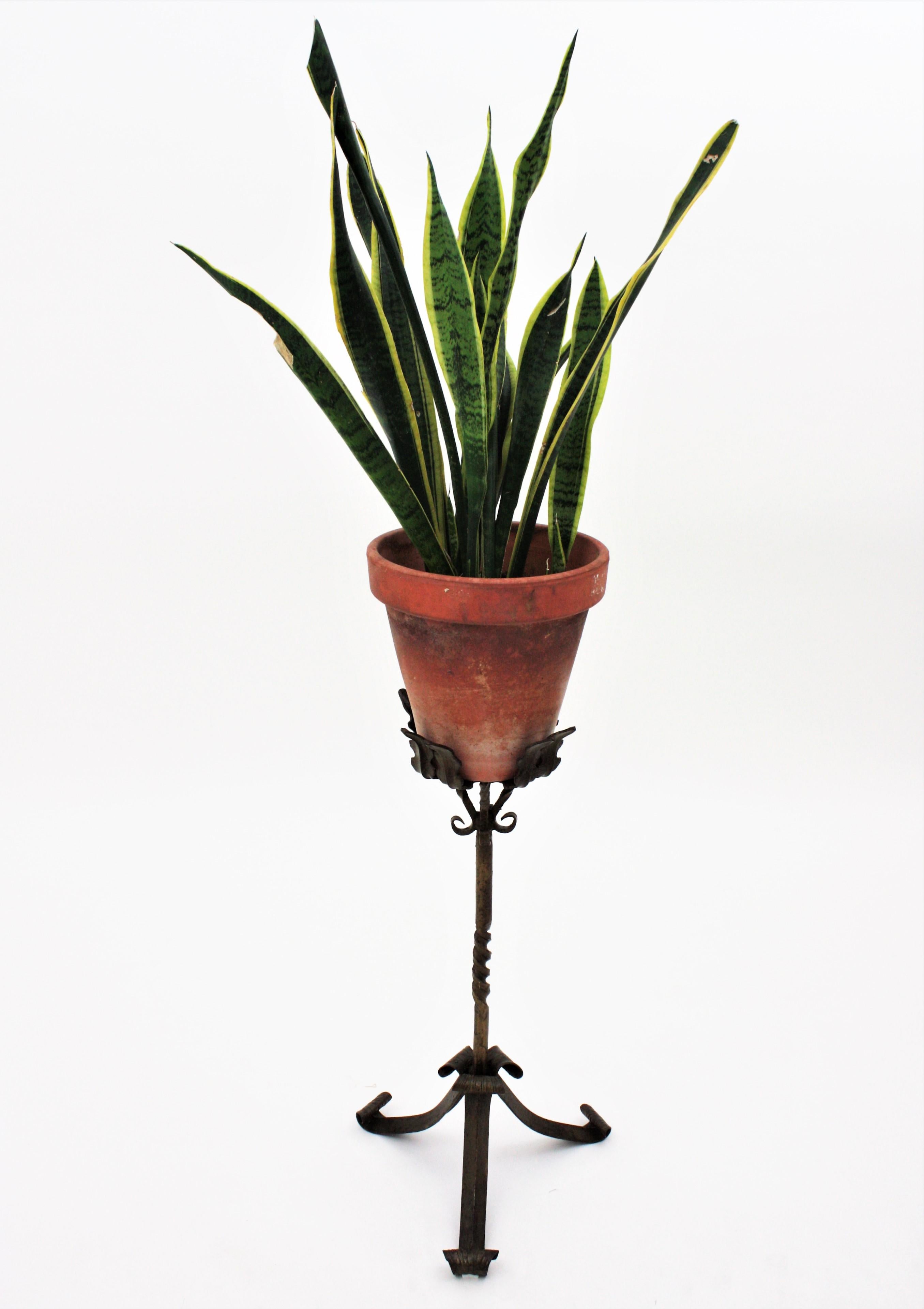 Parcel-gilt Gothic style hand forged iron plant stand on a tripod base, Spain, 1930s-1940s.
This stand in all made in hand-hammered iron and features a leafed top twith scroll details where place a plant pot. The top stands on a tripod base with