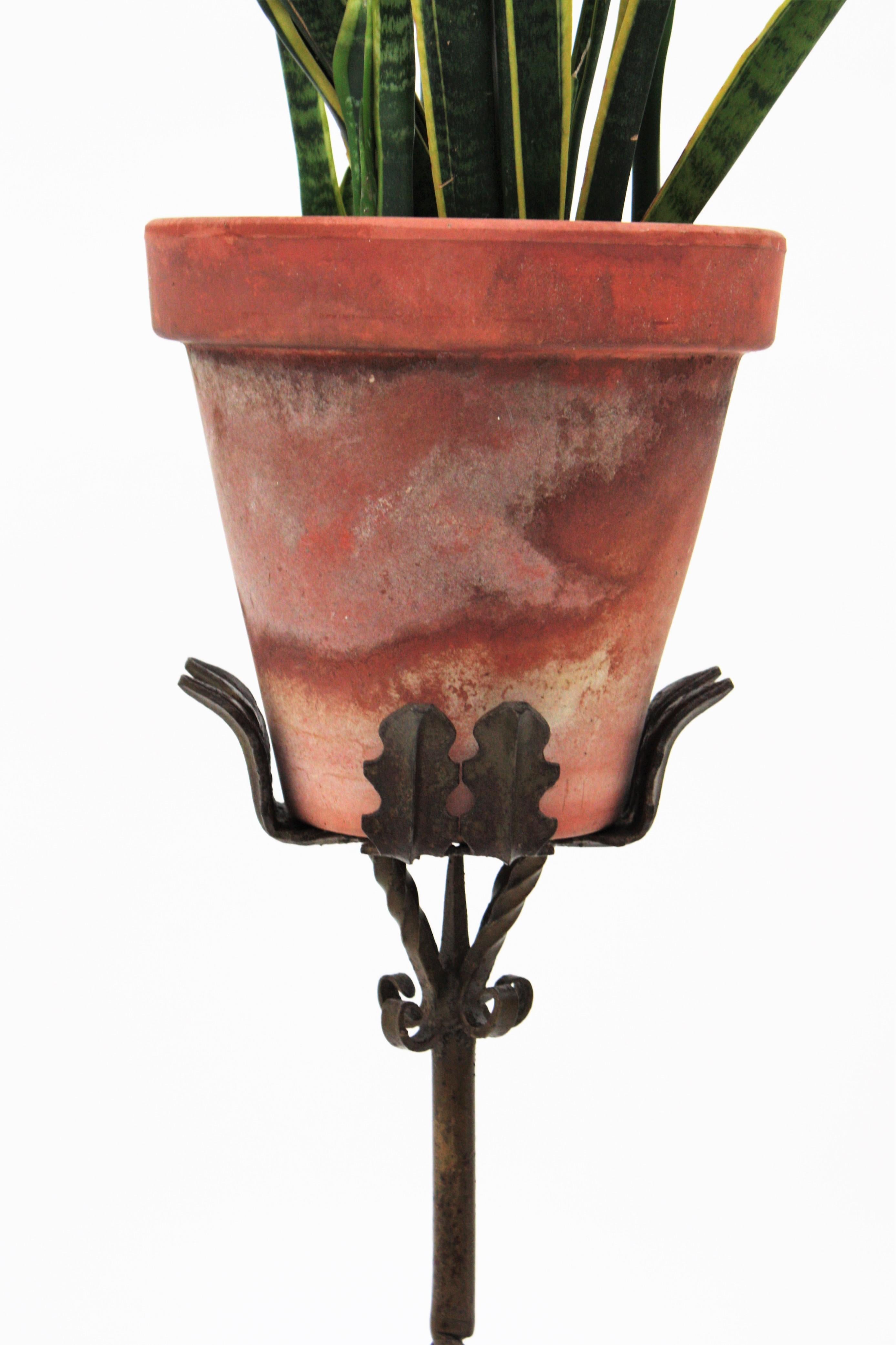 20th Century Spanish Wrought Iron Plant Stand, 1930s
