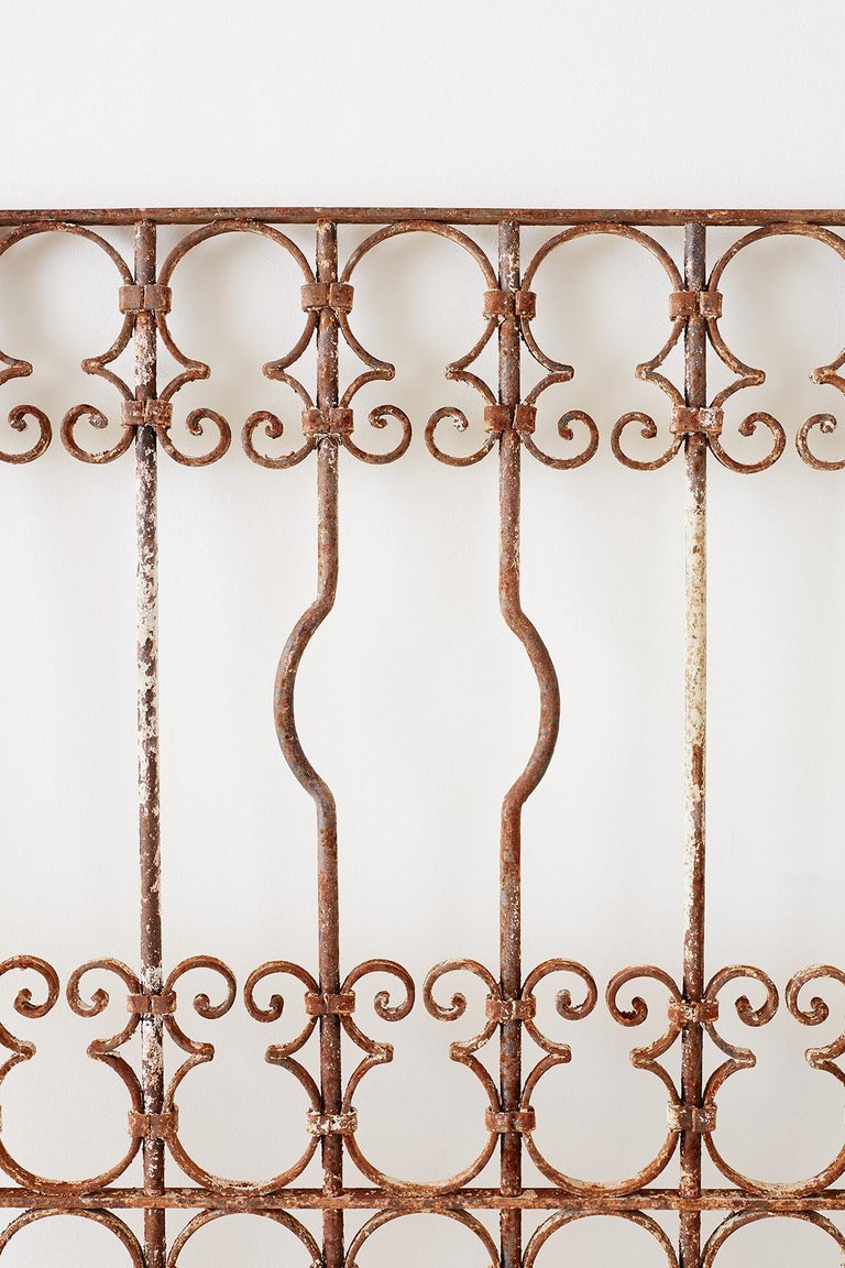 Spanish Wrought Iron Window Grill or Gate For Sale at 1stDibs