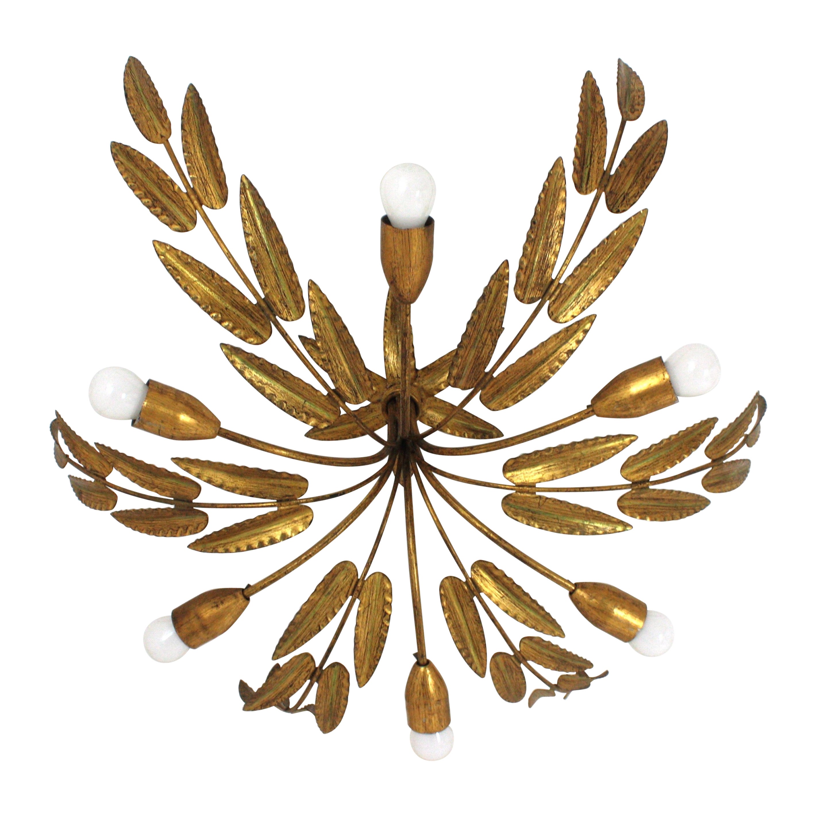 Spanish XL Sunburst Foliage Light Fixture / Chandelier in Gilt Iron, 6 Lights