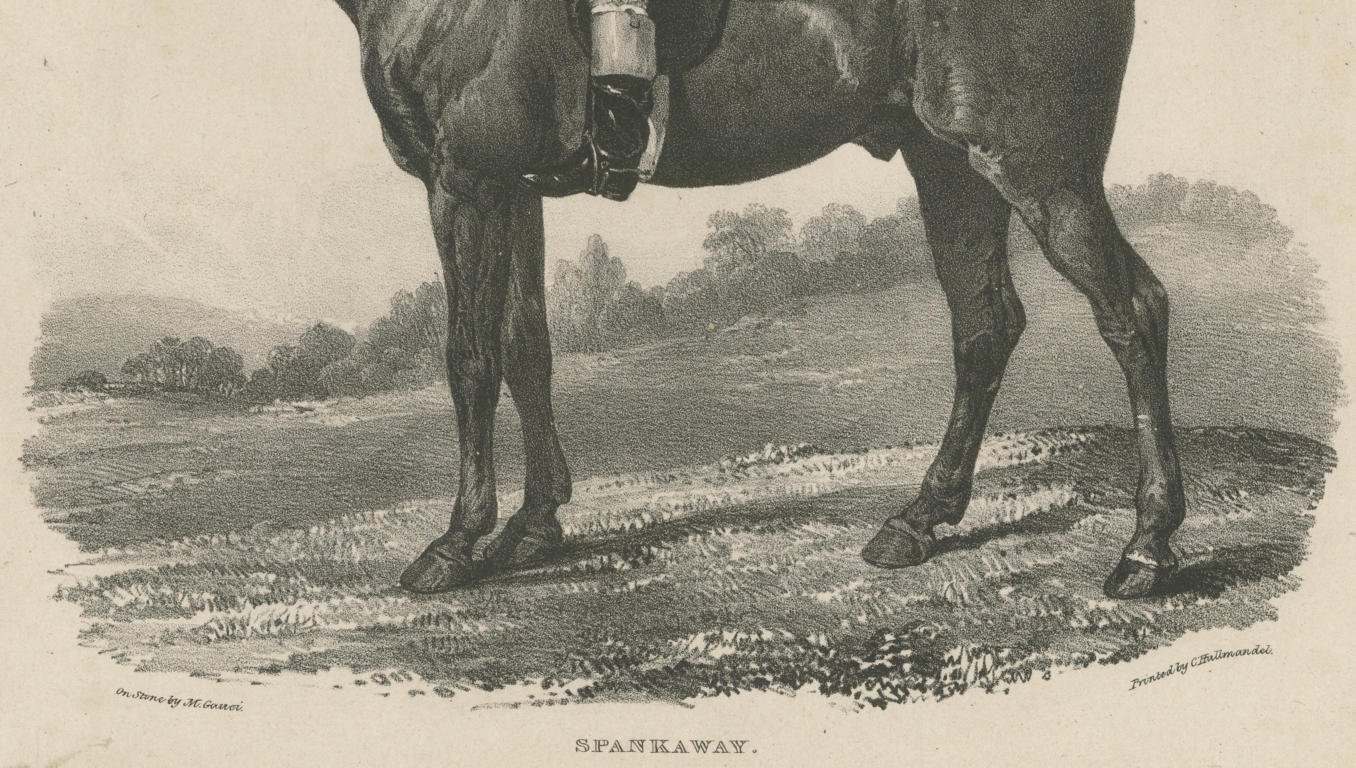 Spankaway, Celebrated British Racehorse – Gauci Lithograph c.1840