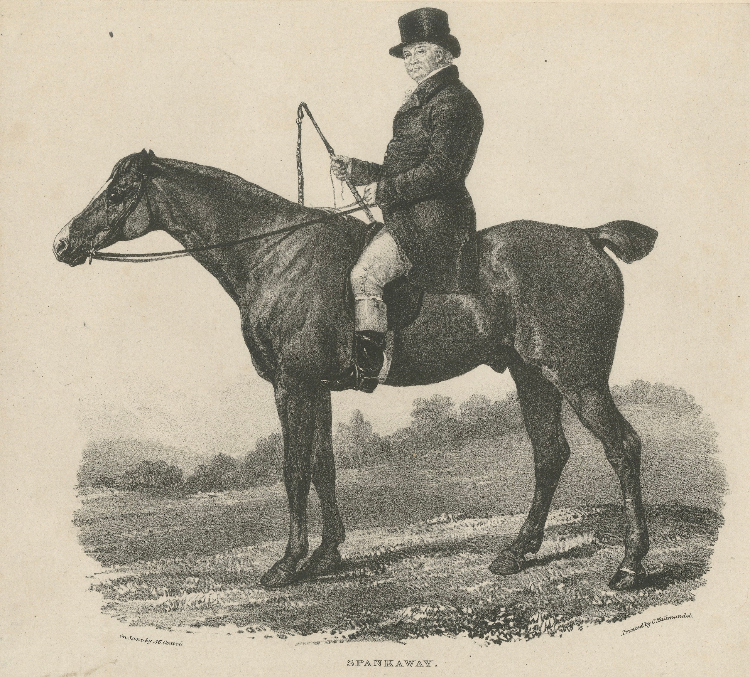Spankaway, Celebrated British Racehorse – Gauci Lithograph c.1840 For Sale
