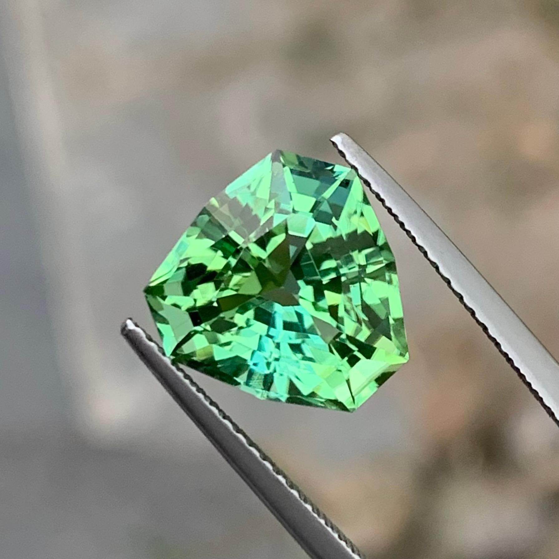 Sparkling 6.0 Carats Natural Loose Mint Green Tourmaline Trilliant Shape Gem For Sale 4