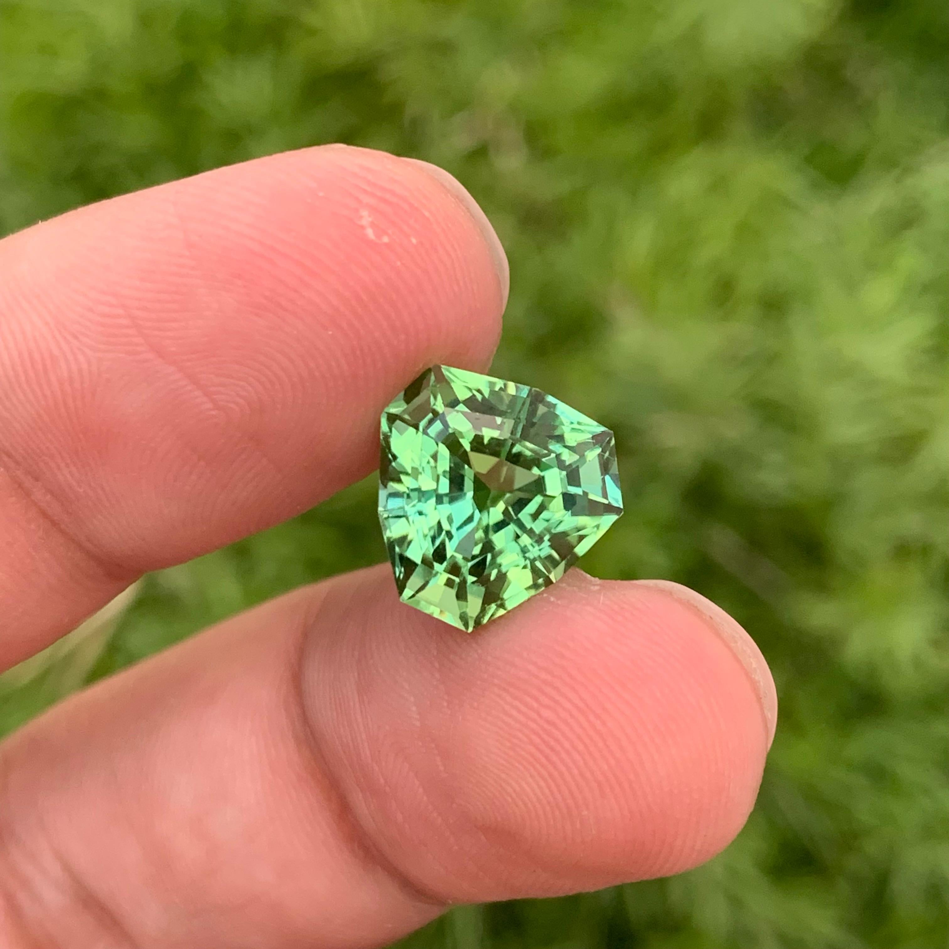 Loose Tourmaline 
Weight: 6.0 Carats 
Dimension: 11.3x11.3x7.9 Mm
Origin: Kunar Afghanistan 
Shape: Trillant
Certificate: On Customer Demand 
Treatment: Non
Color: Mint Green
Mint tourmaline, renowned for its enchanting green hue, is a captivating