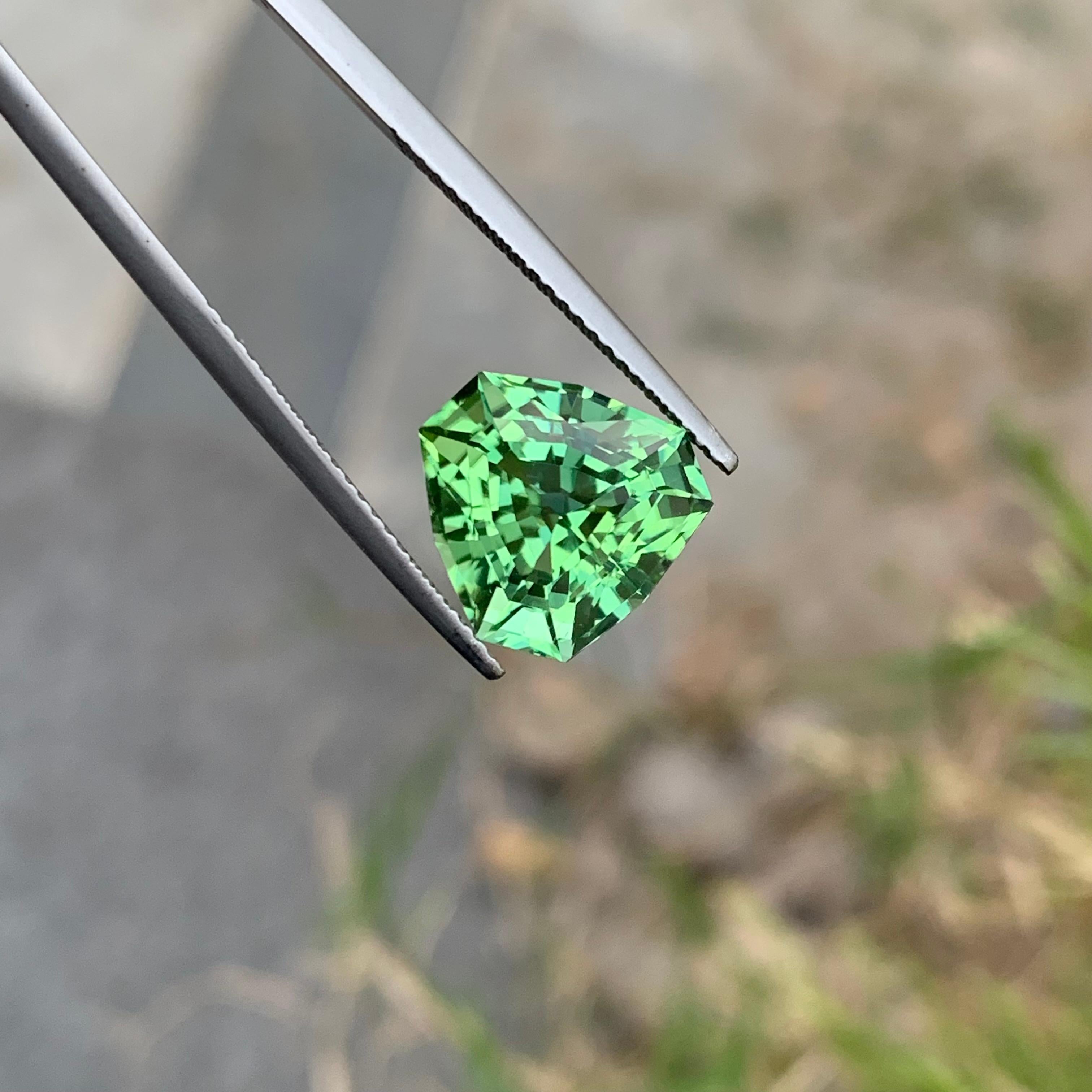 Trillion Cut Sparkling 6.0 Carats Natural Loose Mint Green Tourmaline Trilliant Shape Gem For Sale