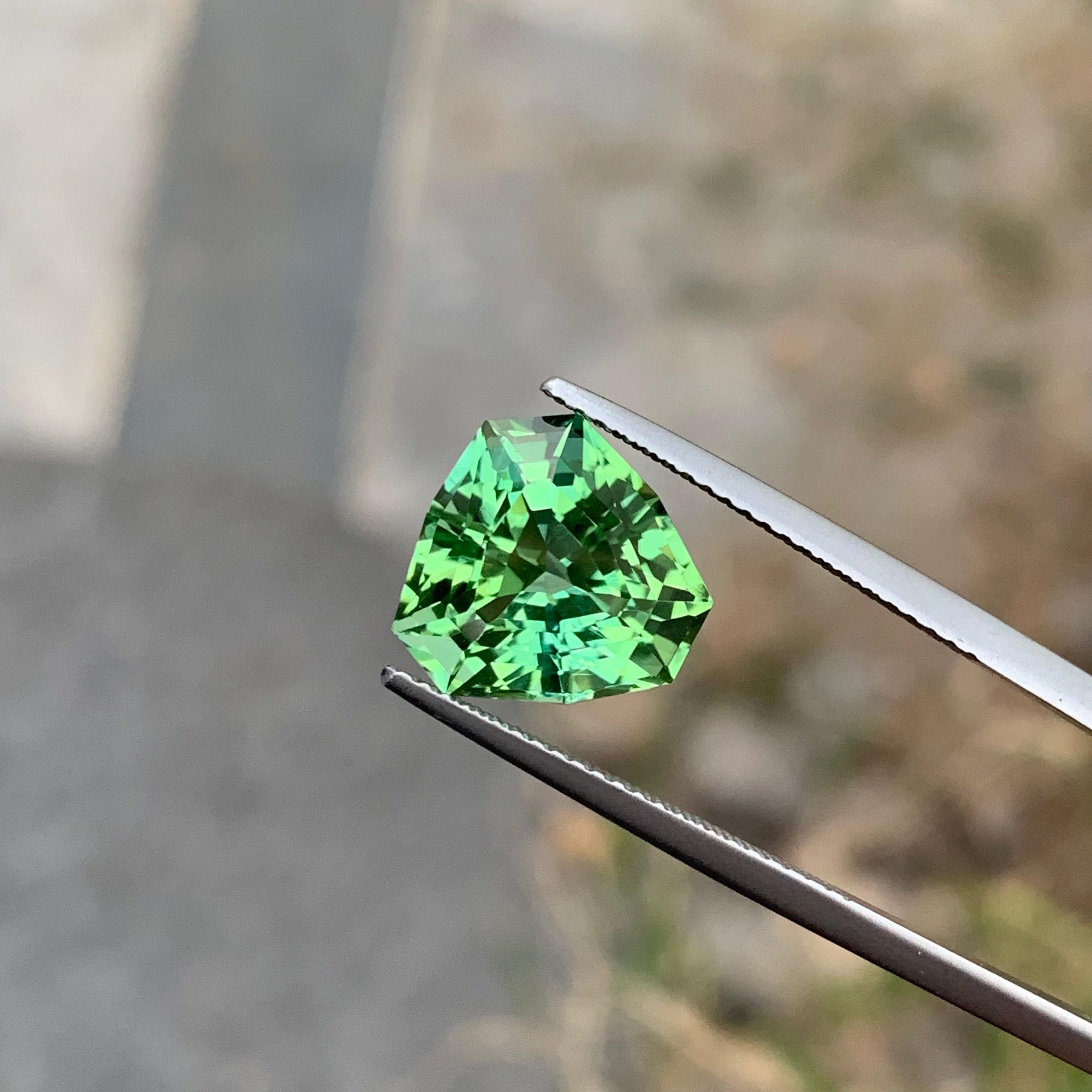 Gema brillante de 6,0 quilates de turmalina verde menta suelta natural en forma de trillante Corte trillion en venta