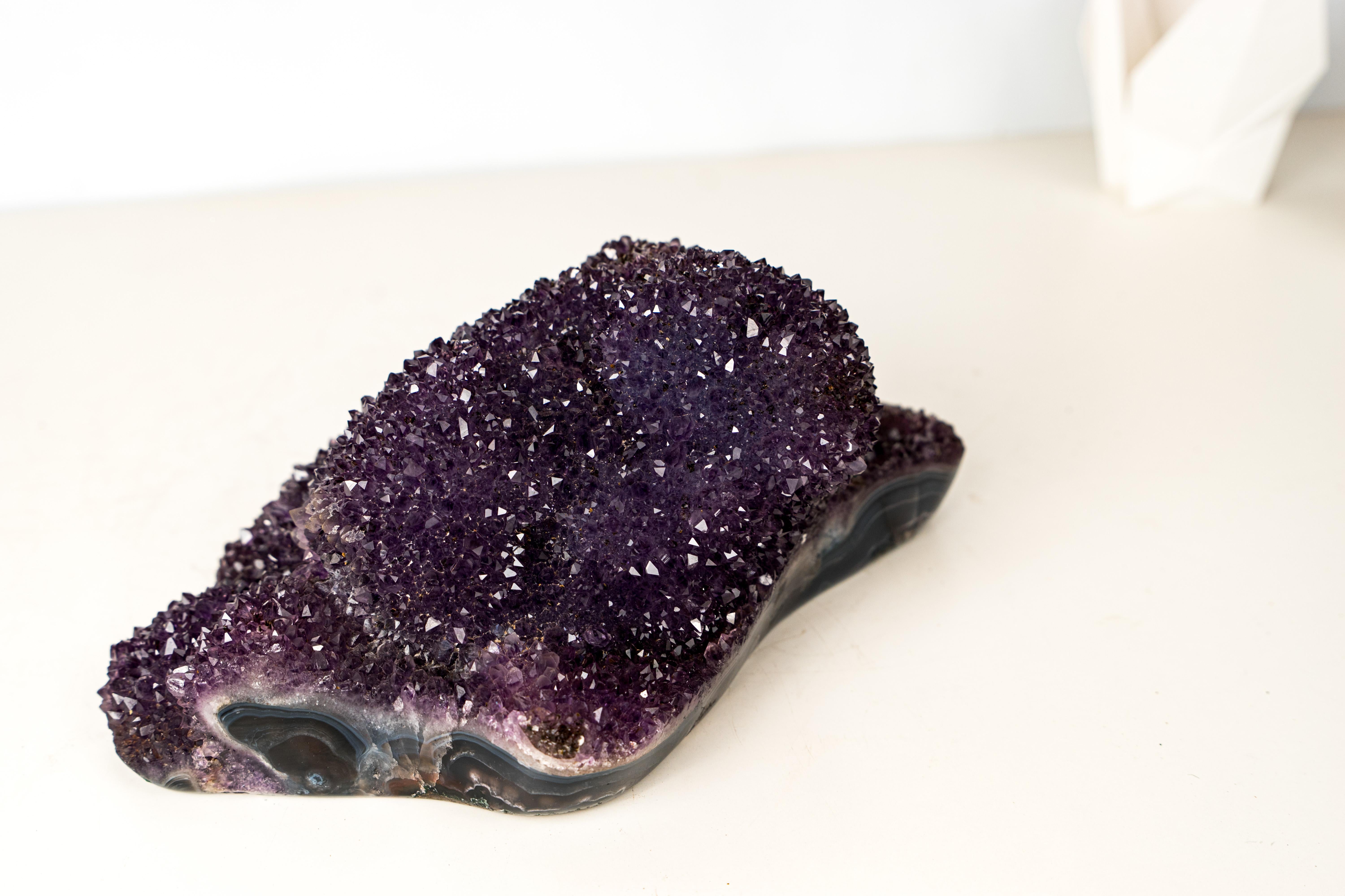 Sparkling Deep Purple Amethyst Flower Cluster on Blue Agate Matrix For Sale 4