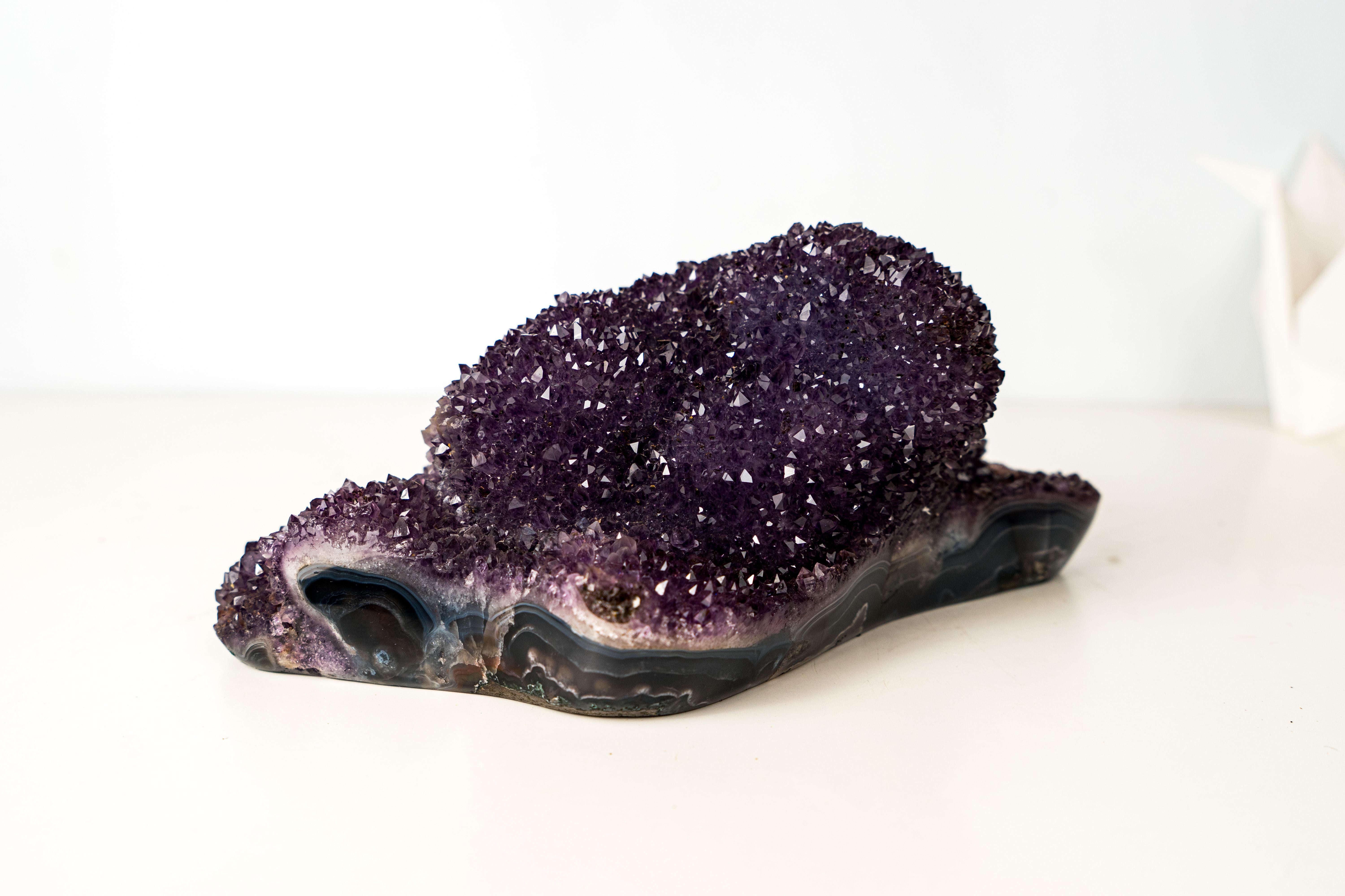Sparkling Deep Purple Amethyst Flower Cluster on Blue Agate Matrix For Sale 5