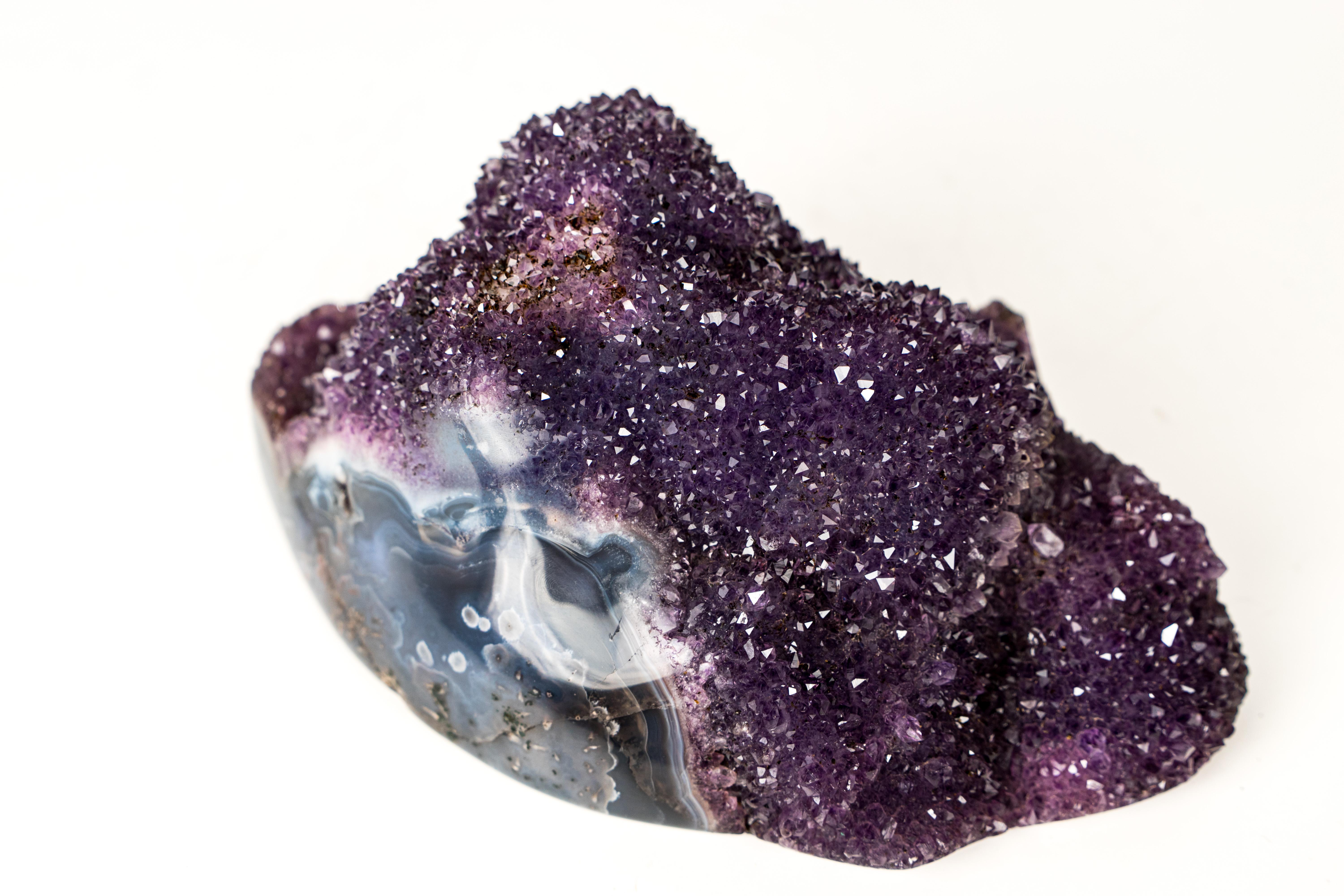 Brazilian Sparkling Deep Purple Amethyst Flower Cluster on Blue Agate Matrix For Sale