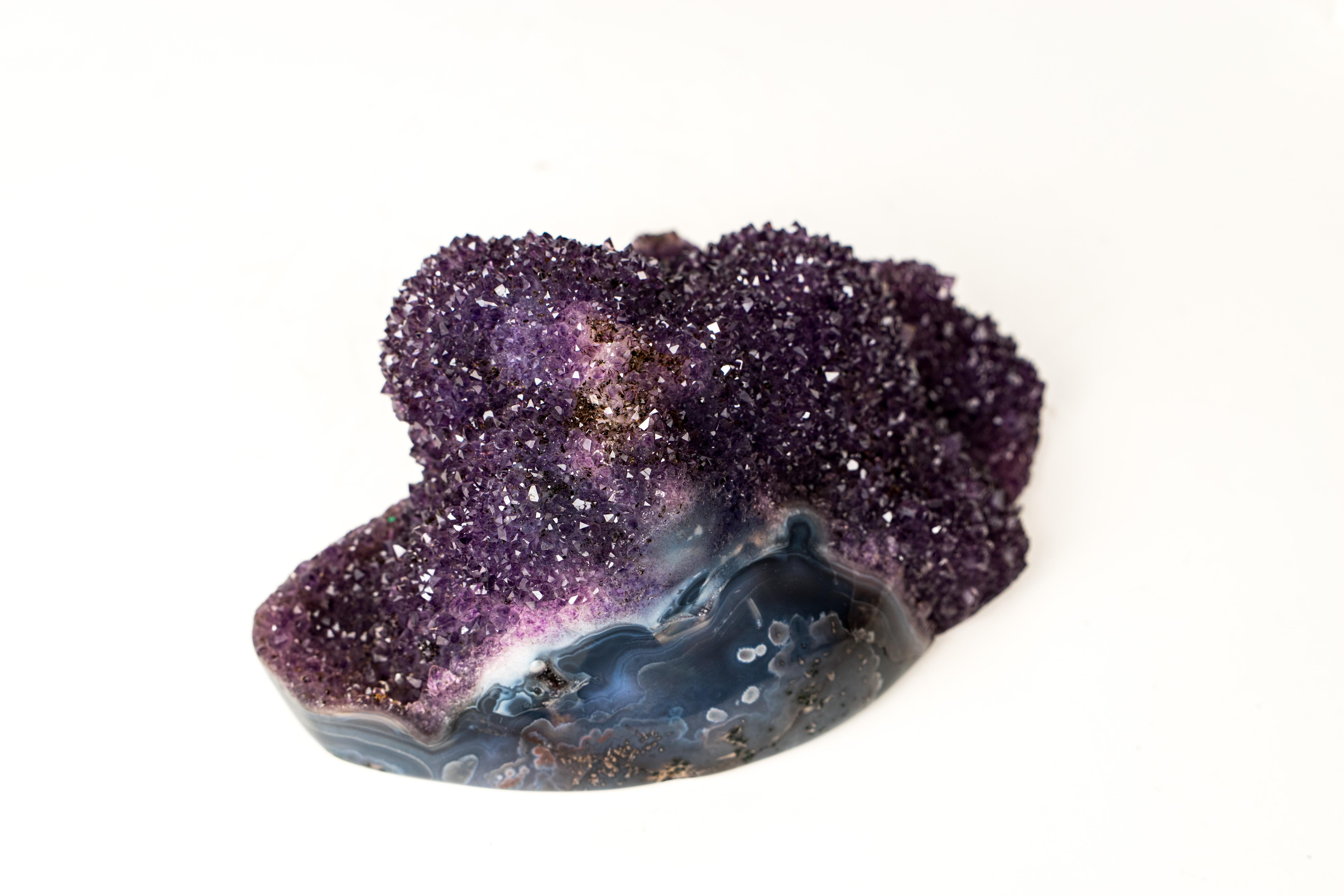 Sparkling Deep Purple Amethyst Flower Cluster on Blue Agate Matrix In New Condition For Sale In Ametista Do Sul, BR