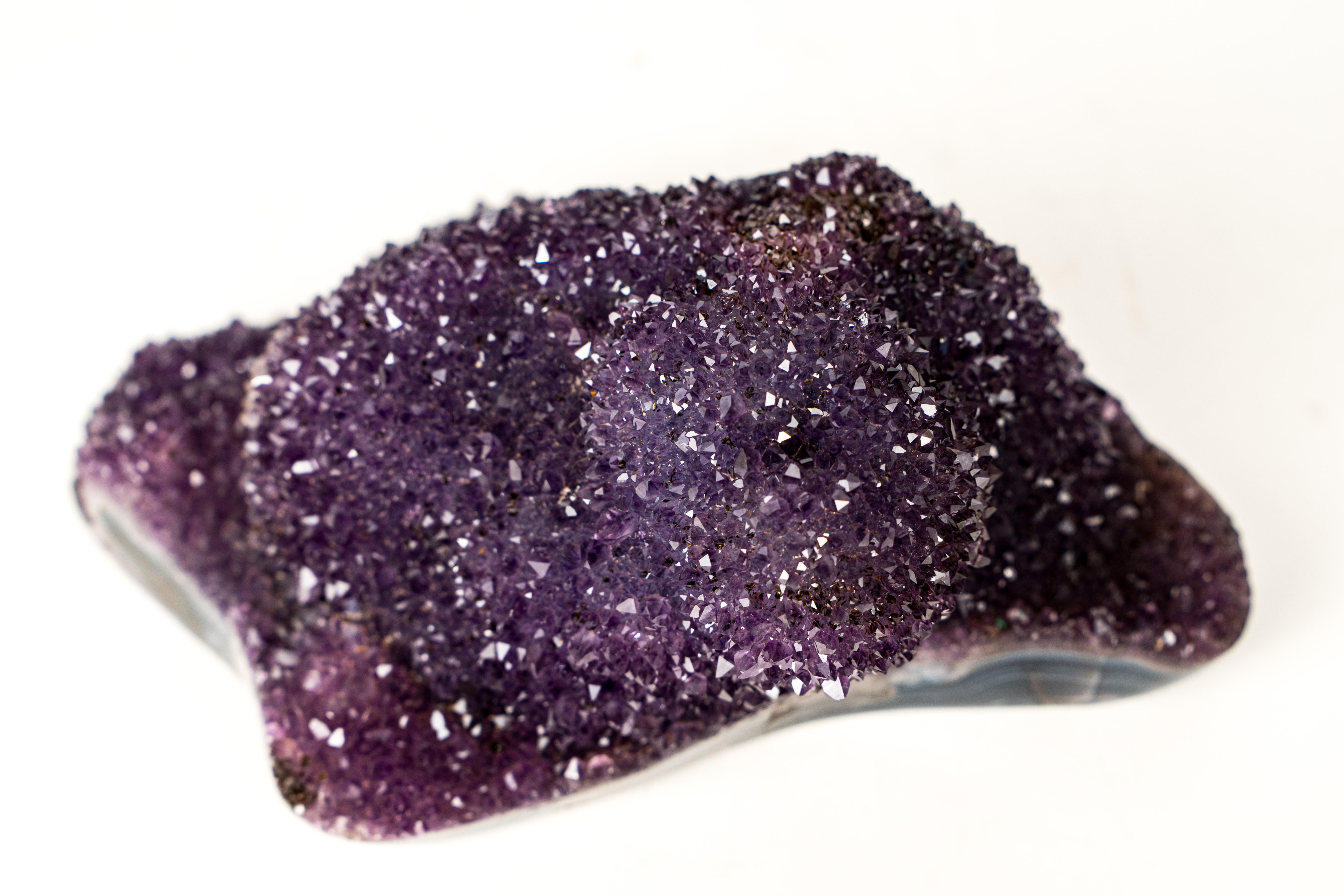 Contemporary Sparkling Deep Purple Amethyst Flower Cluster on Blue Agate Matrix For Sale