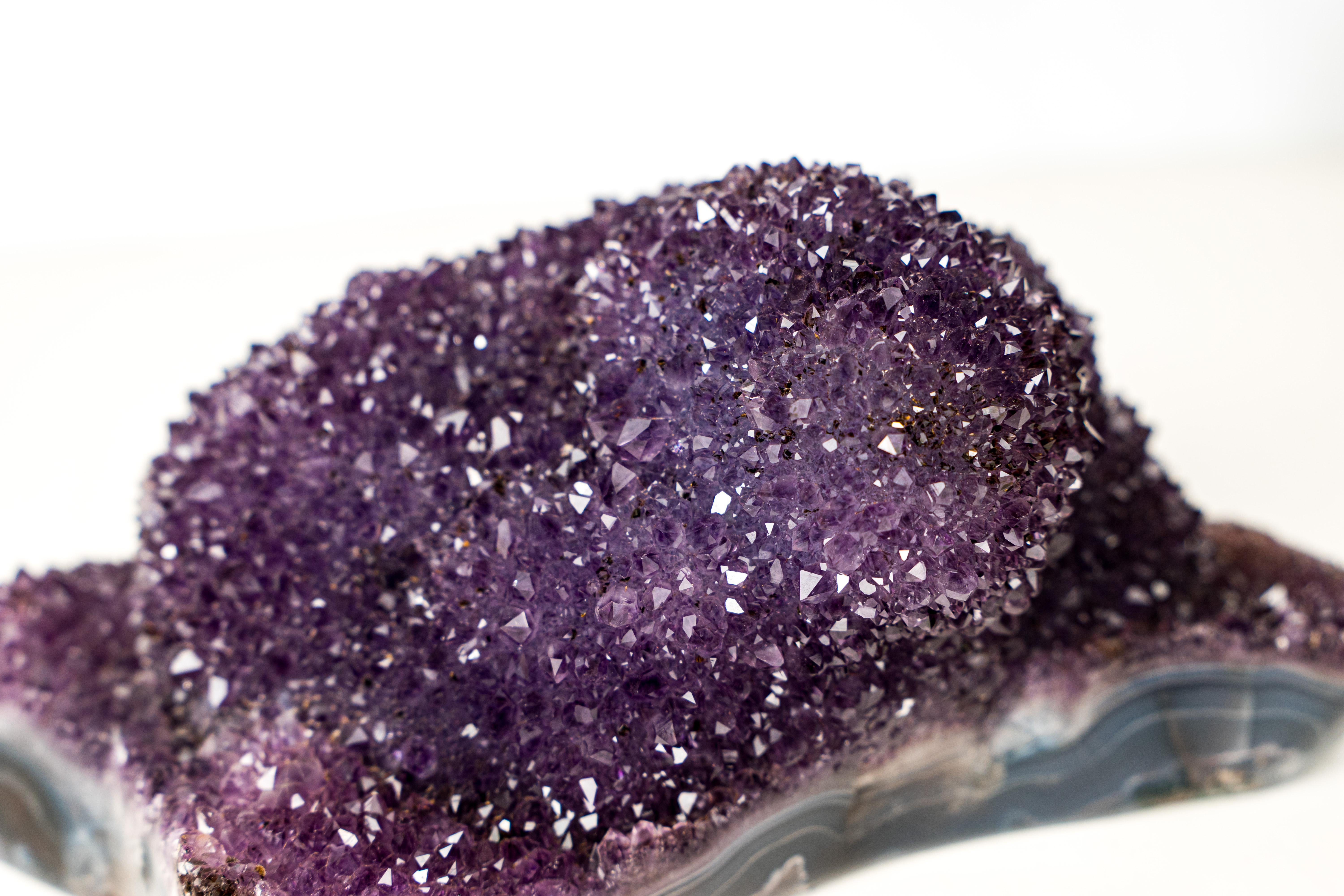 Crystal Sparkling Deep Purple Amethyst Flower Cluster on Blue Agate Matrix For Sale