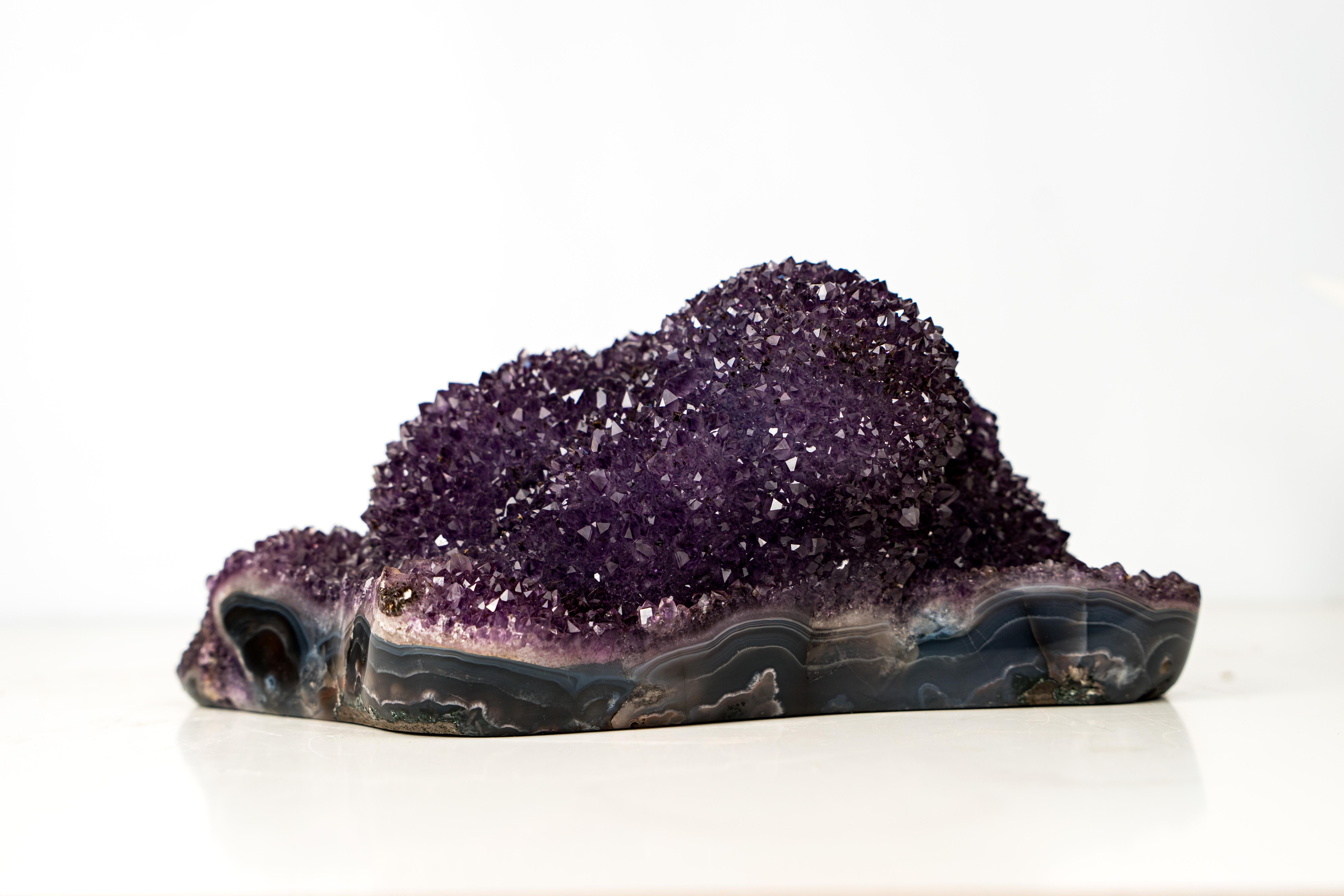 Sparkling Deep Purple Amethyst Flower Cluster on Blue Agate Matrix For Sale 1