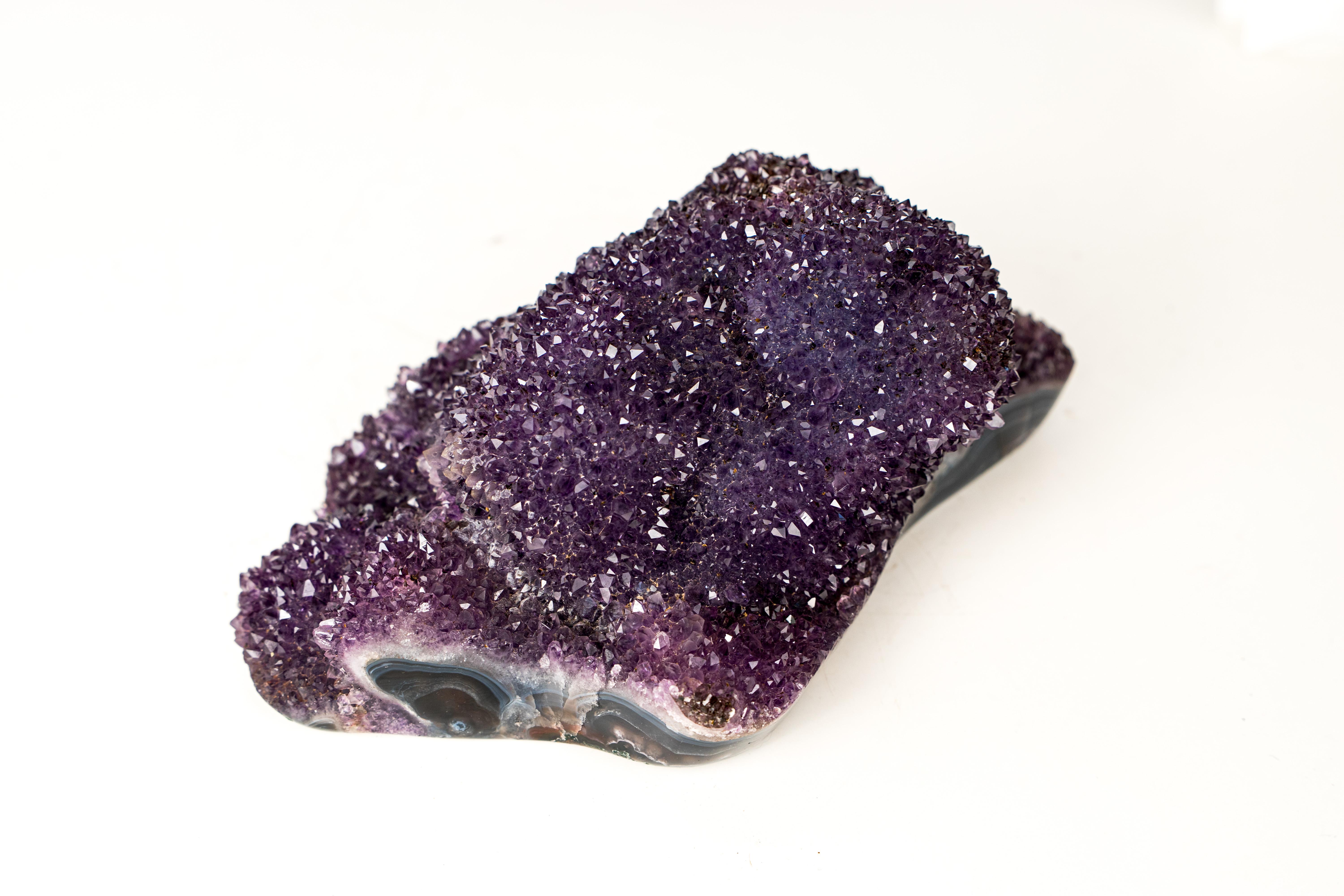 Sparkling Deep Purple Amethyst Flower Cluster on Blue Agate Matrix For Sale 2