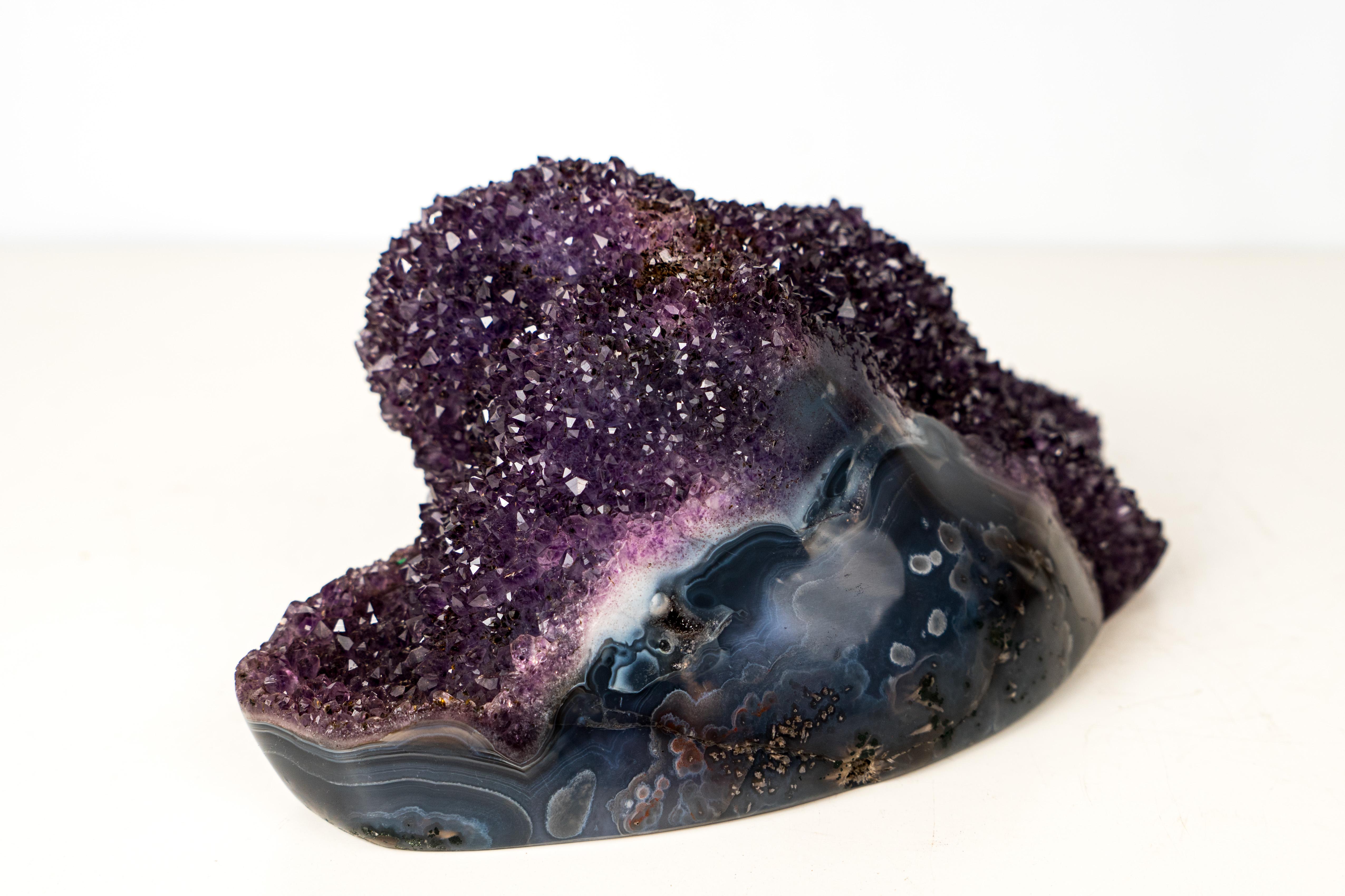 Sparkling Deep Purple Amethyst Flower Cluster on Blue Agate Matrix For Sale 3