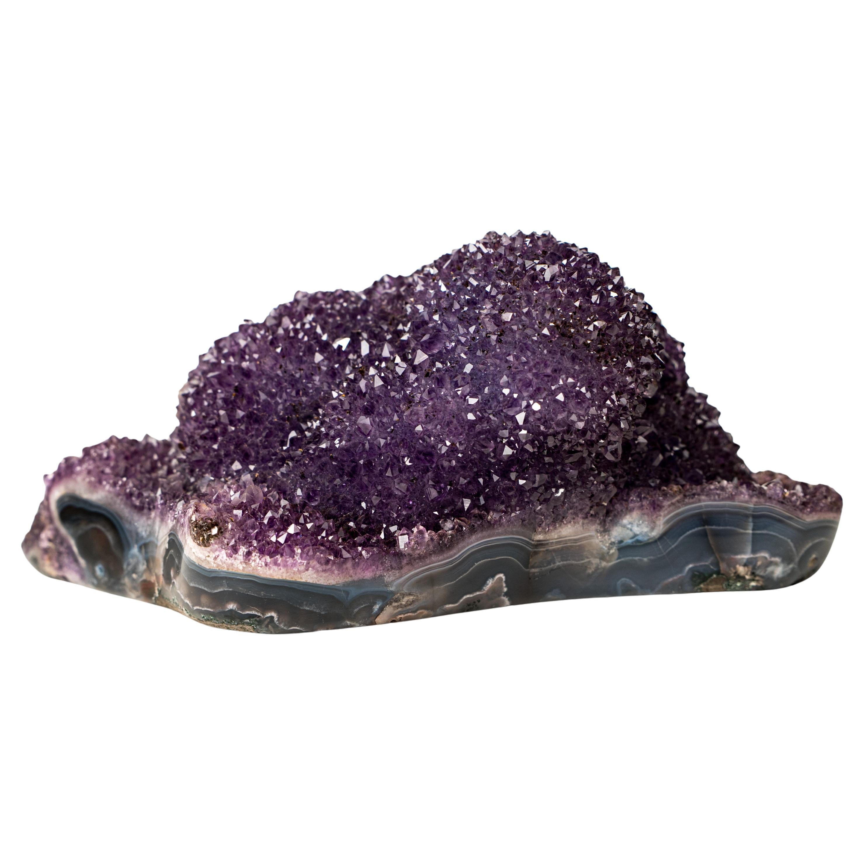 Sparkling Deep Purple Amethyst Flower Cluster on Blue Agate Matrix For Sale