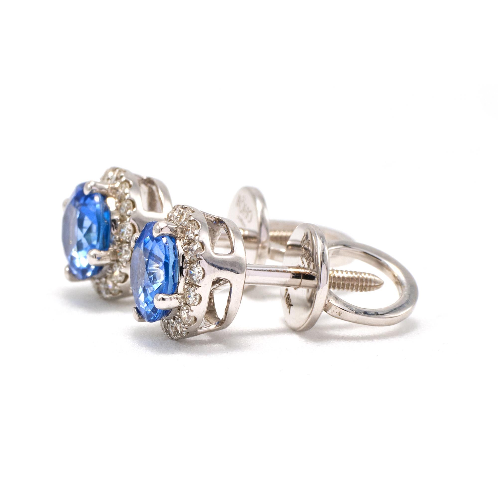 Blauer Saphir-Diamant-Ohrstecker mit Diamant-Halo aus 18 Karat Weißgold mit Schraubenverschluss Damen