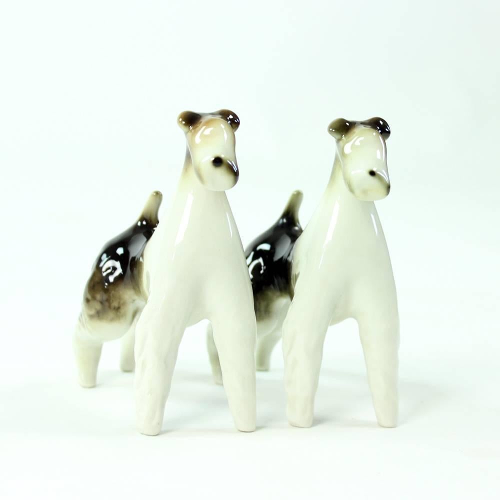 Amazing, striking and very elegant set of two statues of Foxterriers. Put together the sculptures work as a great and bold statement. Very elegant representation of the Foxterrier breed. Both statues are made in 1960s in the Czech porcelain factory