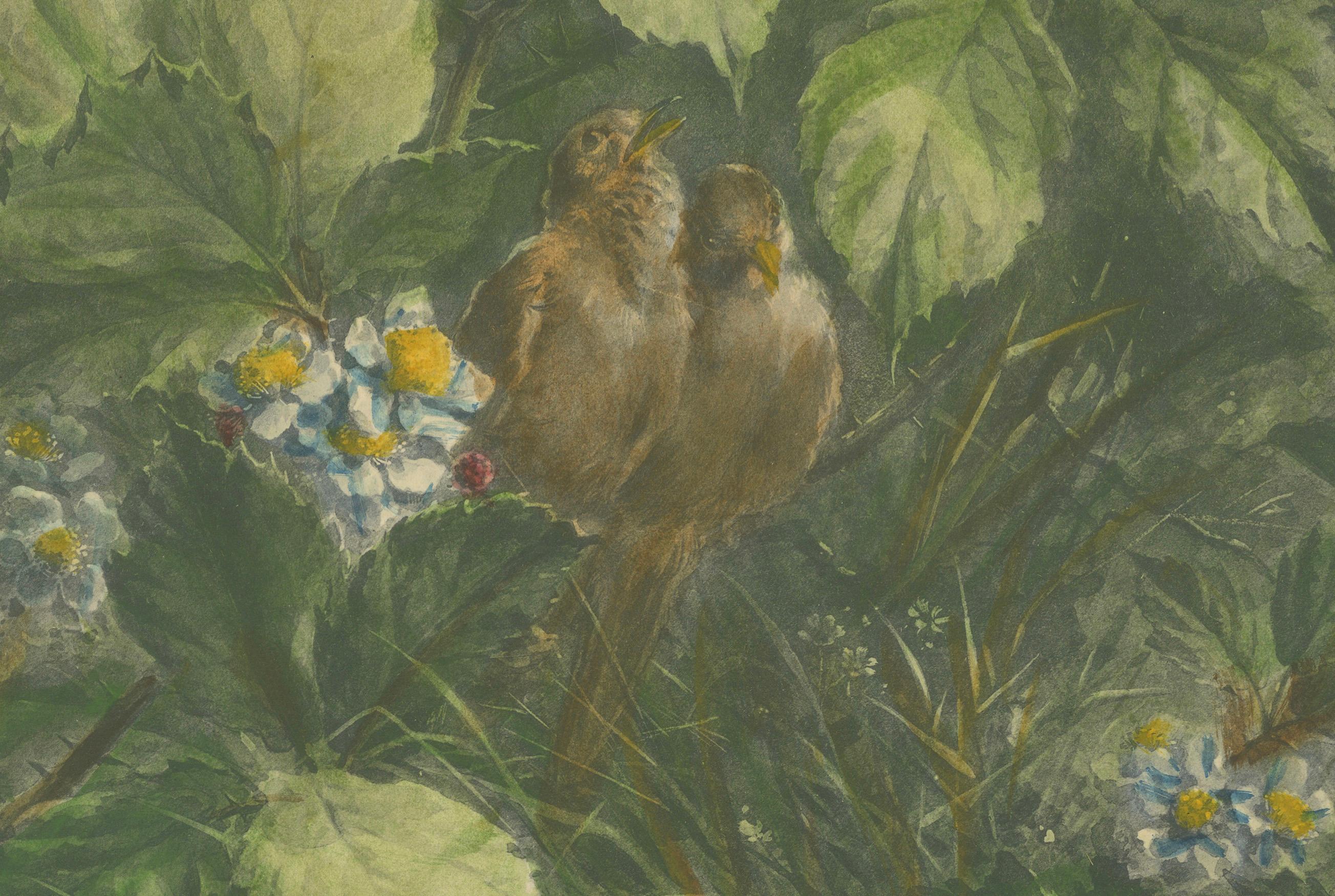 Gorriones entre zarzamoras - Vintage Giacomelli Ornithological Print en Bueno estado para la venta en Langweer, NL