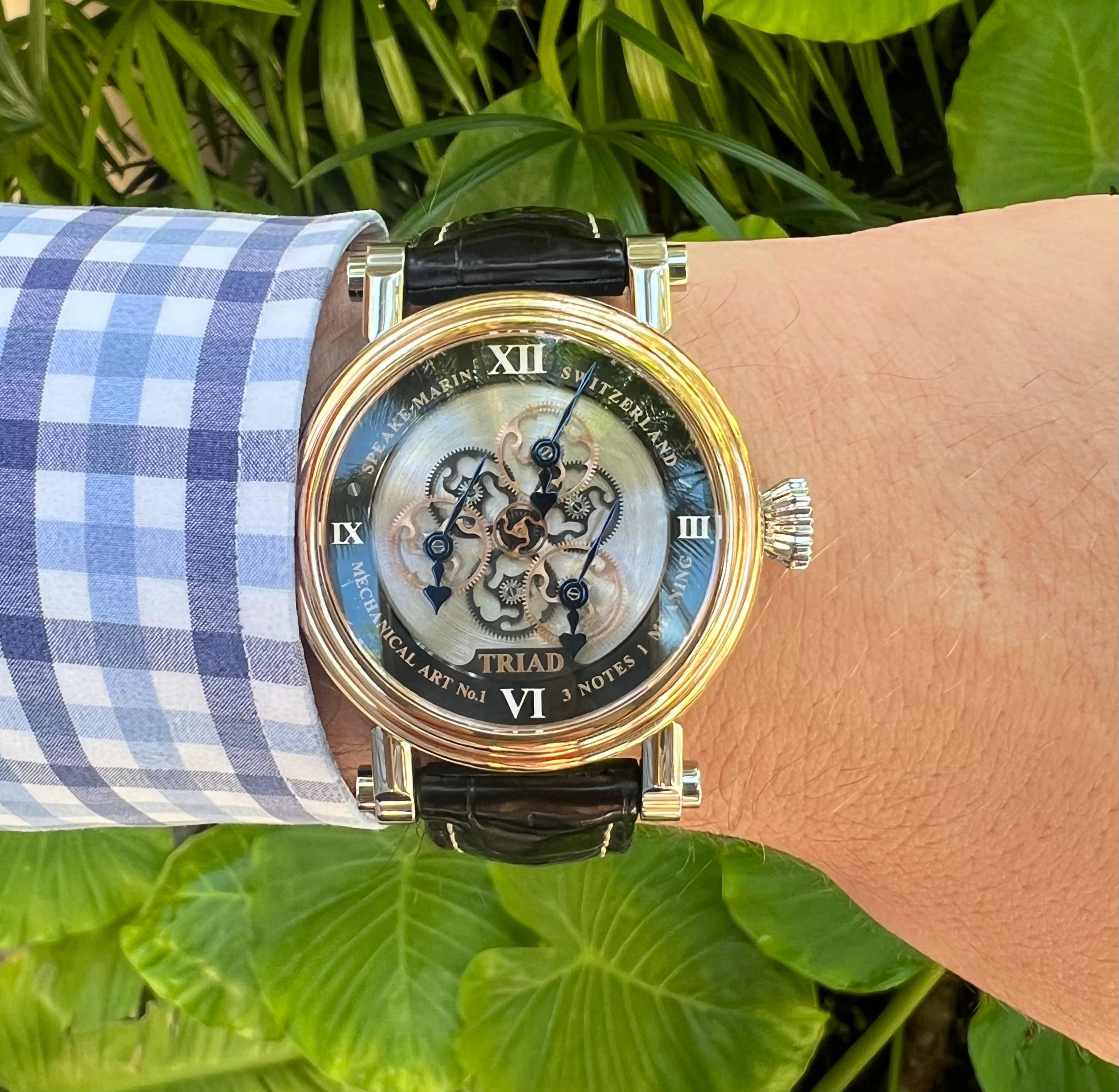 Speake-Marin Triad Special Edition Wristwatch 2